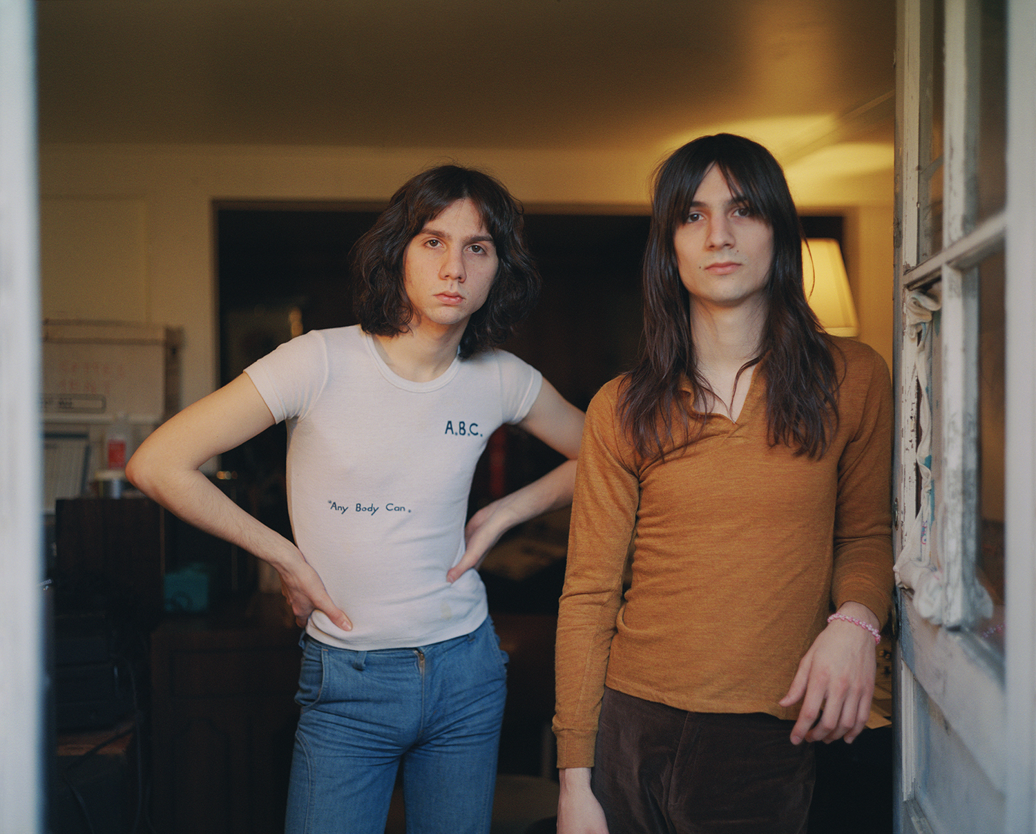 The lemon twigs 2018