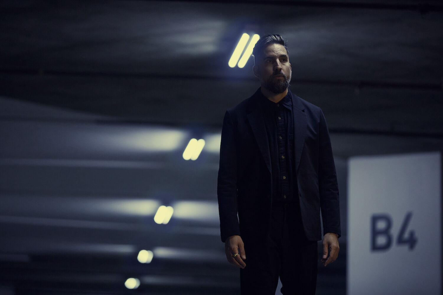 The Album Leaf 2023 Near by Zev Schmitz