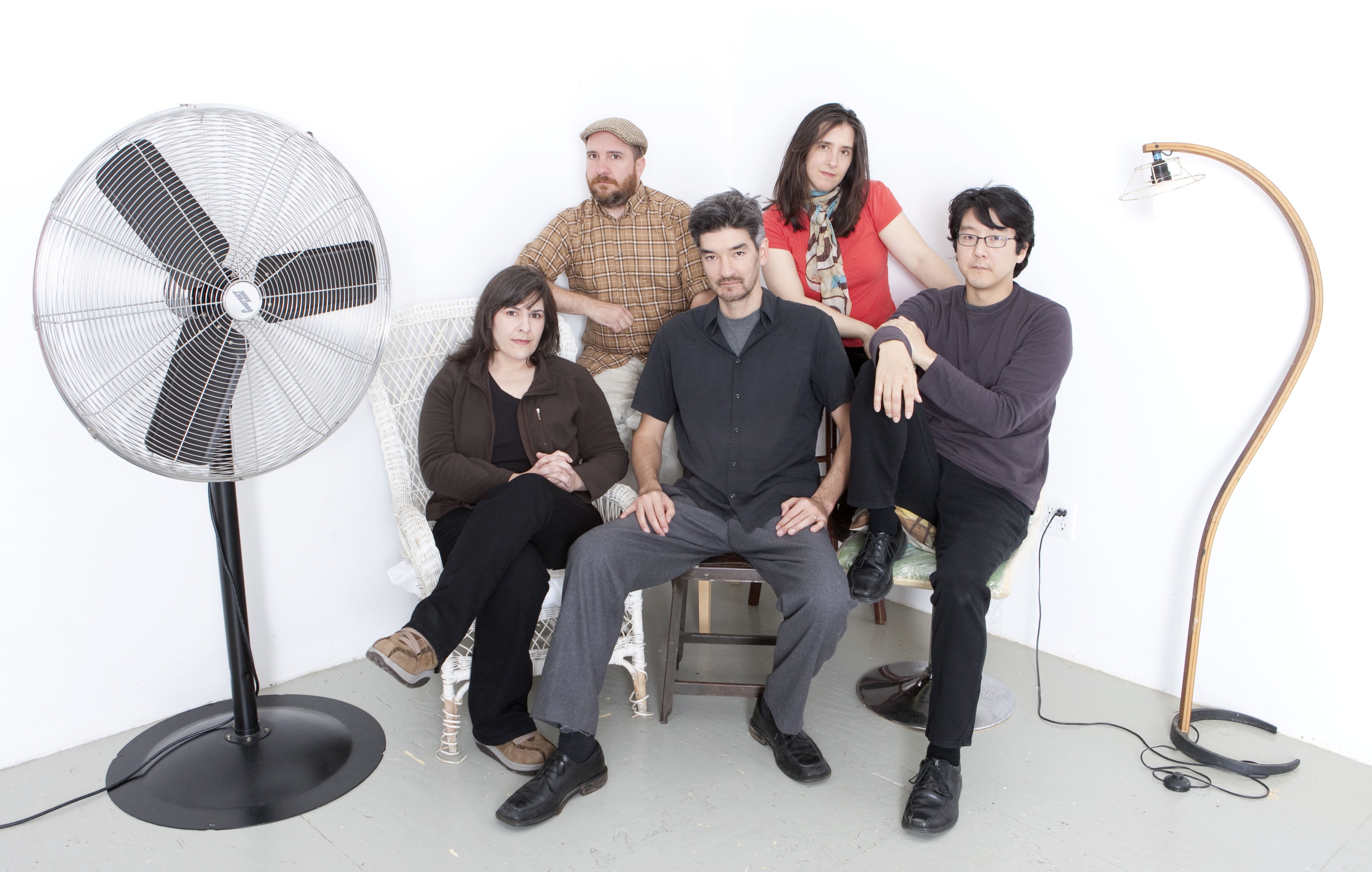 The Magnetic Fields Marcelo Krasilcic
