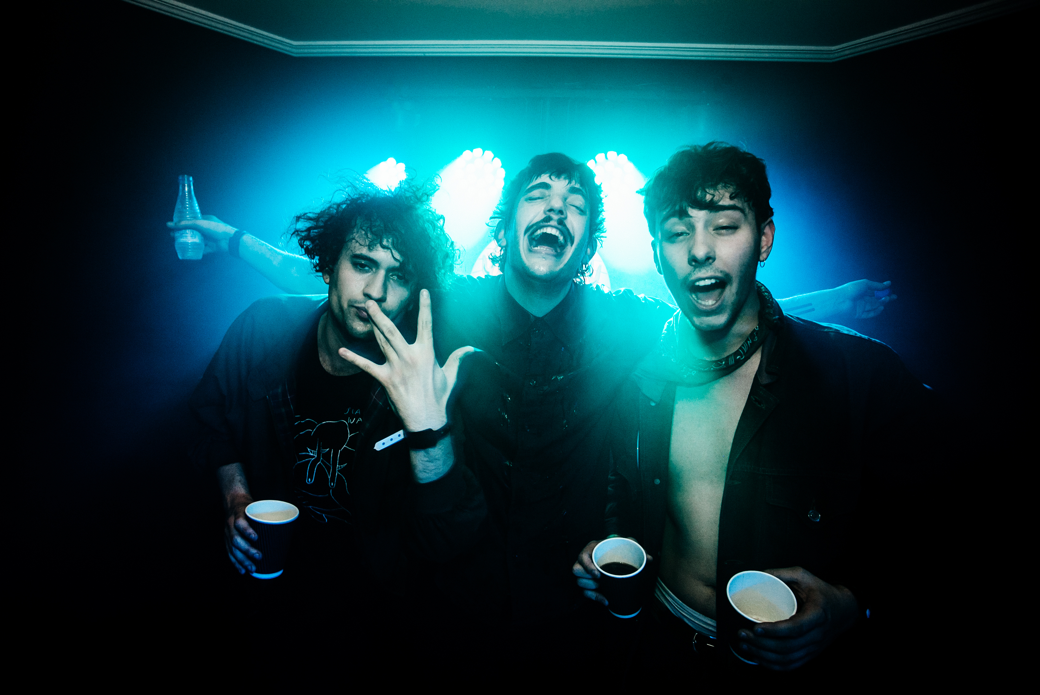 The Parrots Sergio Albert