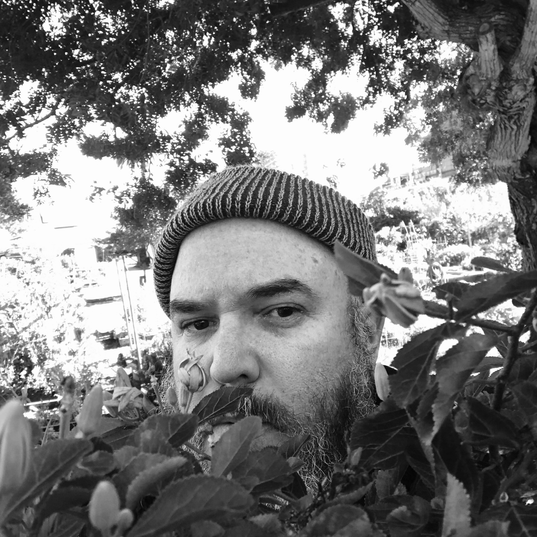 The Reds Pinks and Purples