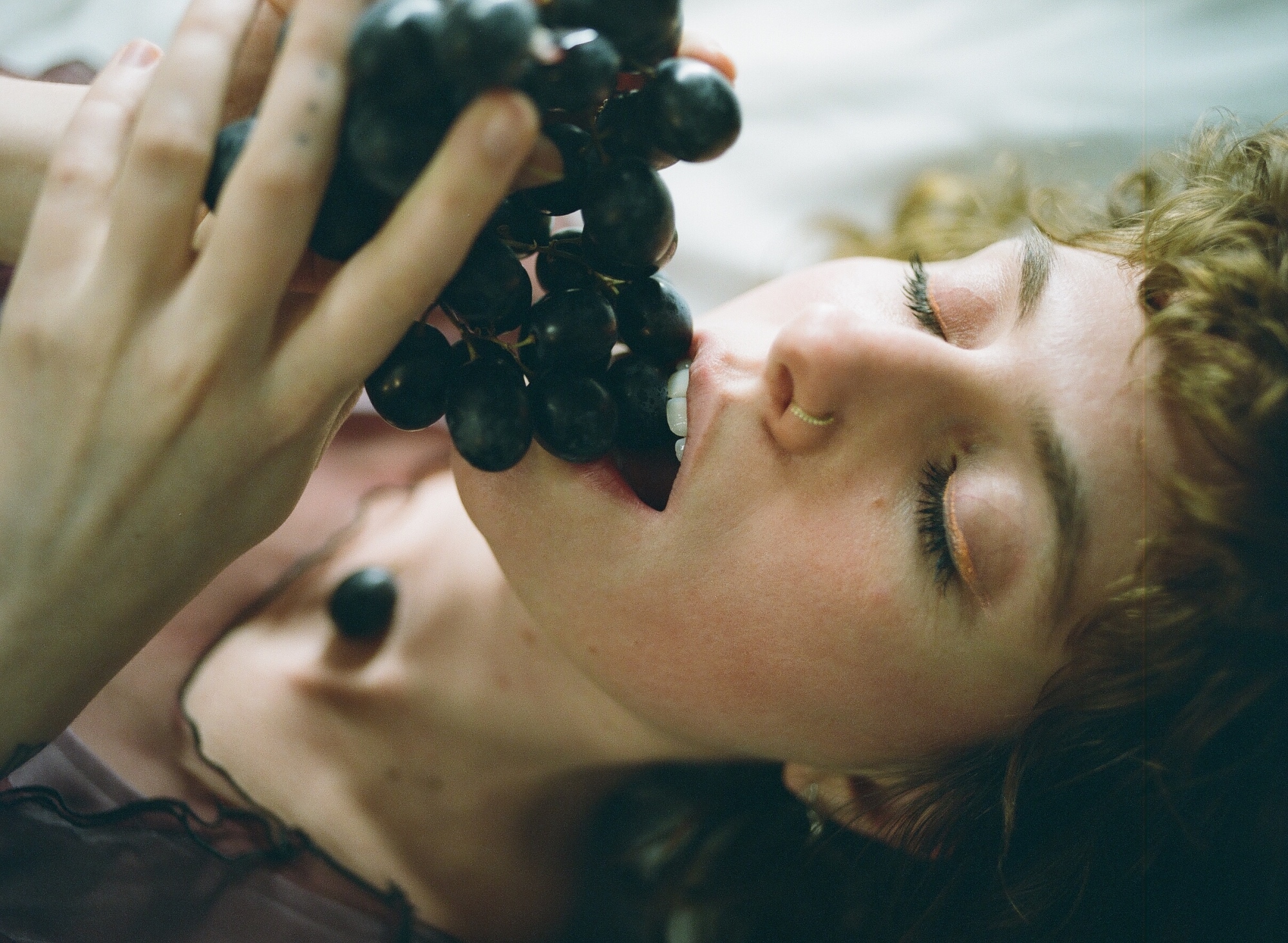 Tiger Lion April 2018