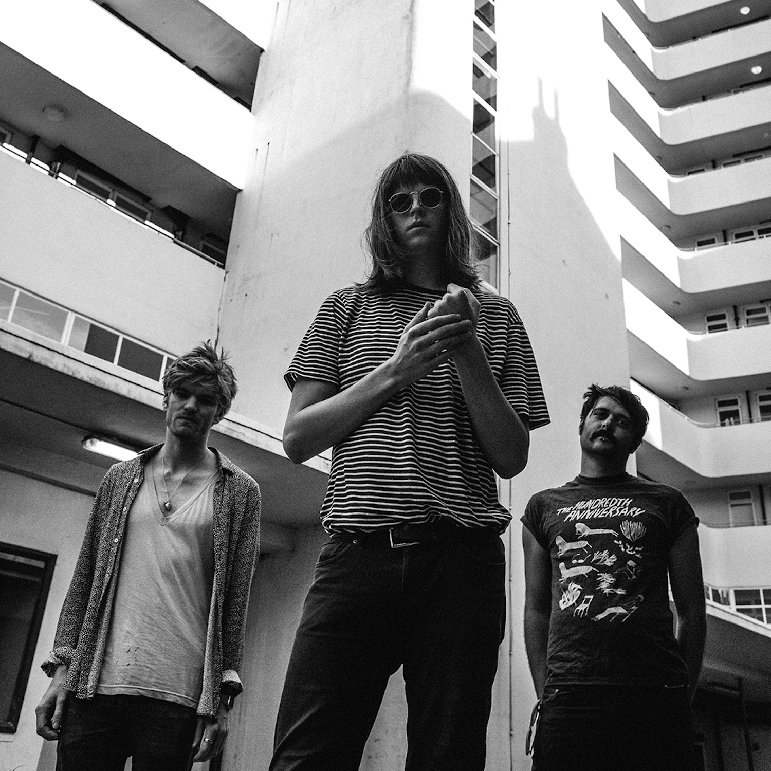 Tigercub 2017 approved press shot