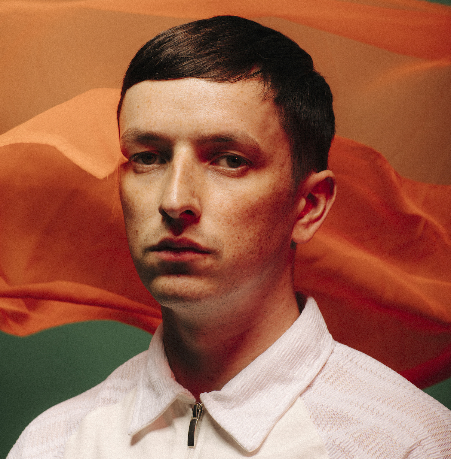 Totally Enormous Extinct Dinosaurs 2018 03 HI please credit Dan Medhurst