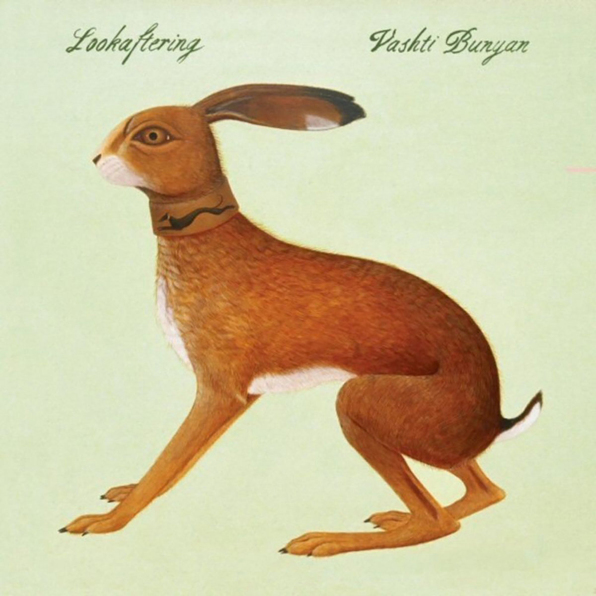 Vashti Bunyan Lookaftering