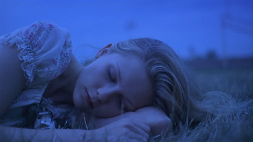 Virgin Suicides1