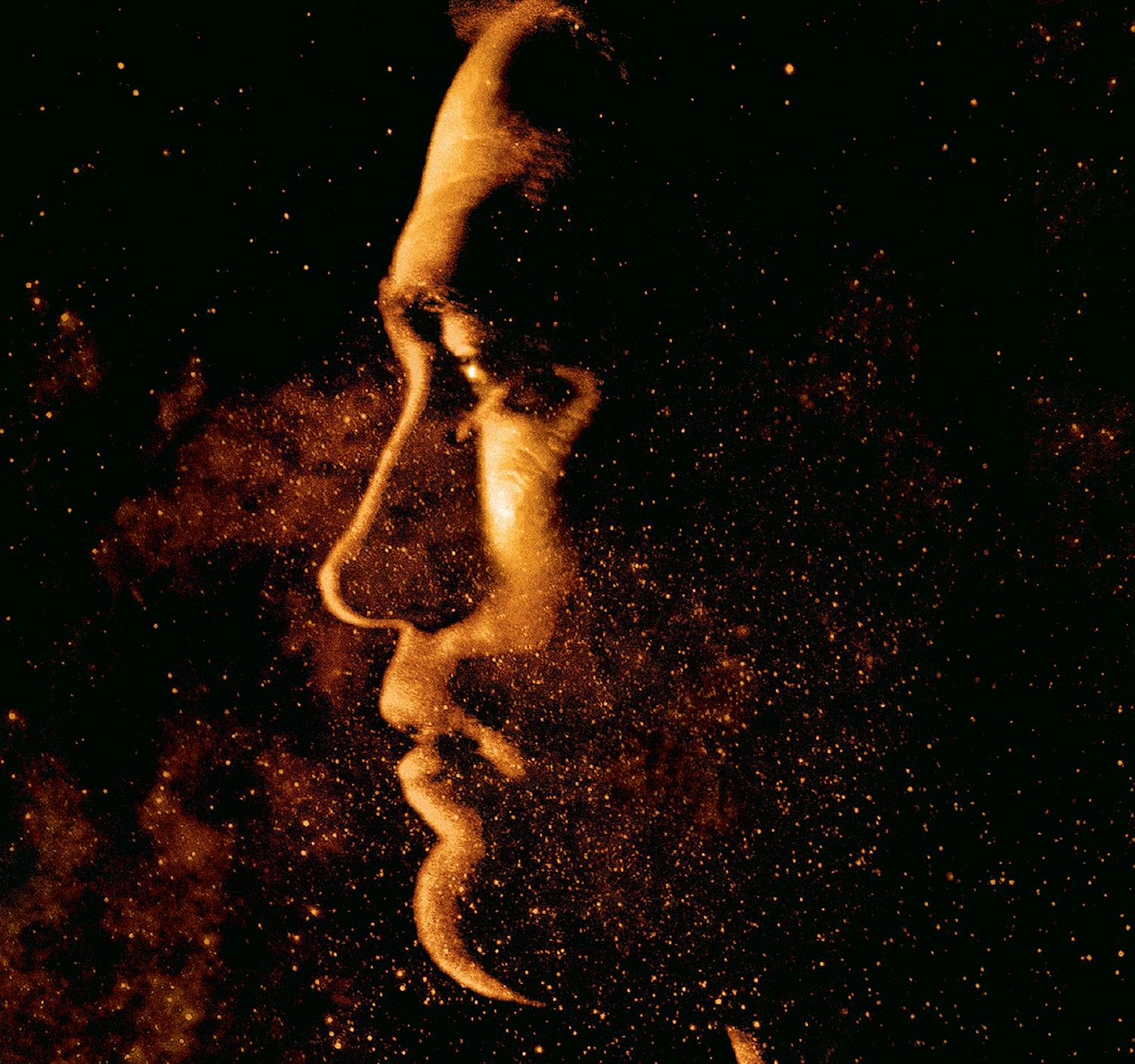 Willow front cover 1440x1440