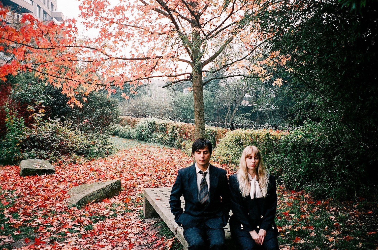 Wings Of Desire 2020 new