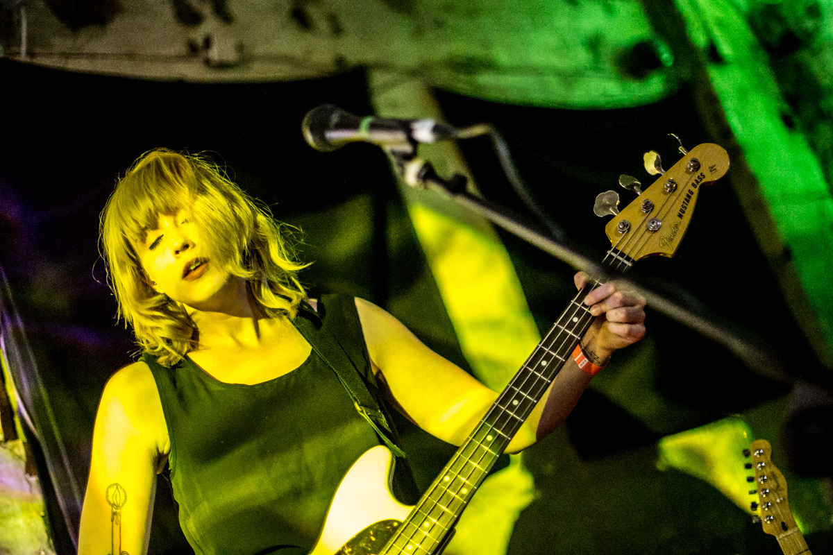 Wye Oak MCR 024 2