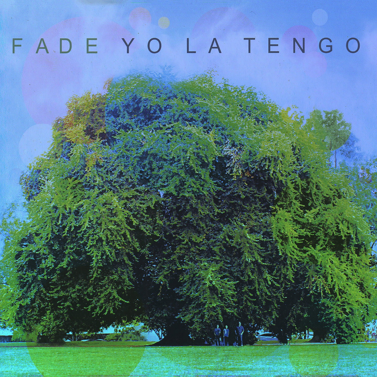 Cover of the 2013 Yo La Tengo album Fade