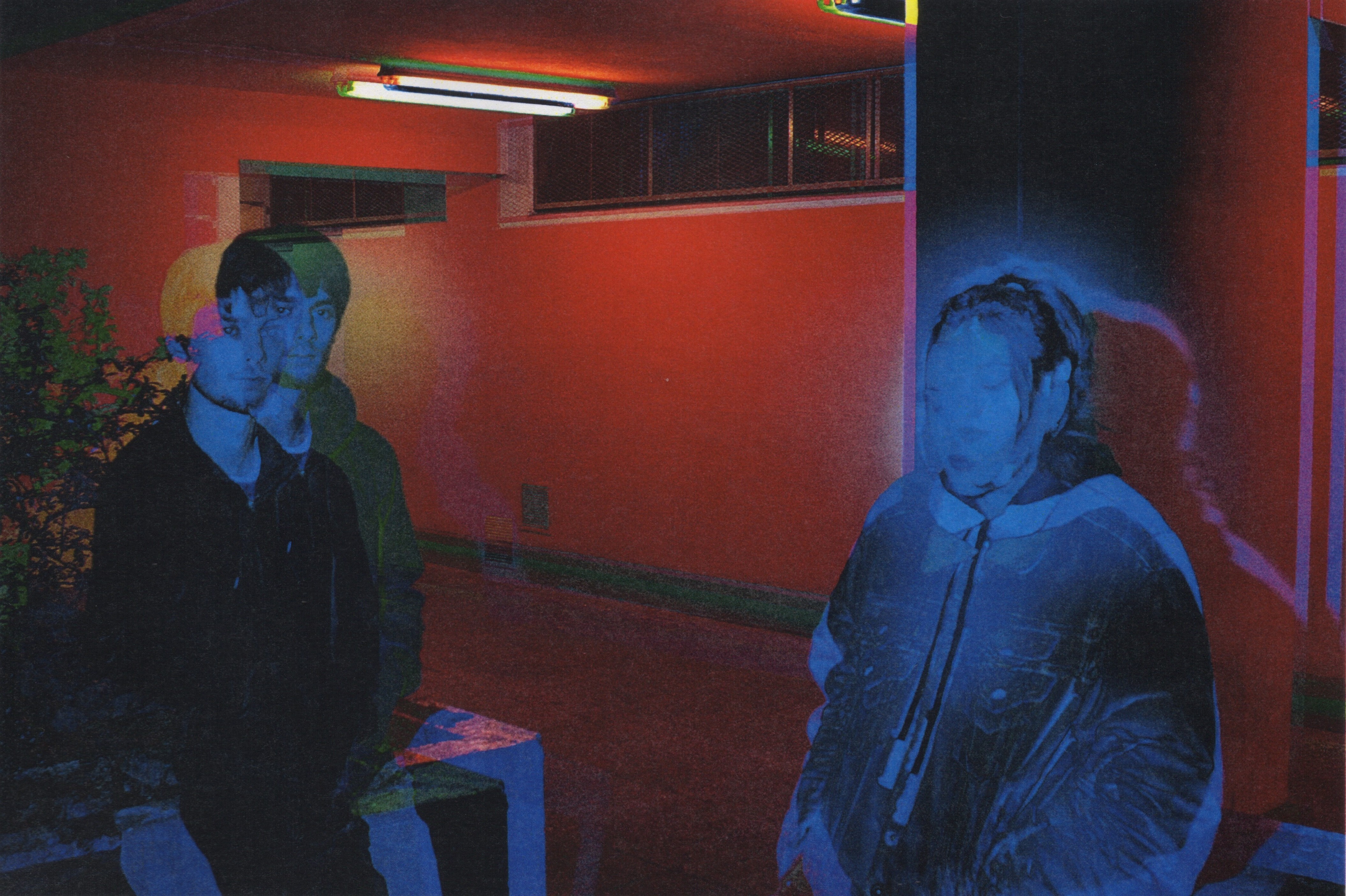 Agar agar 10 copy e1461249270804