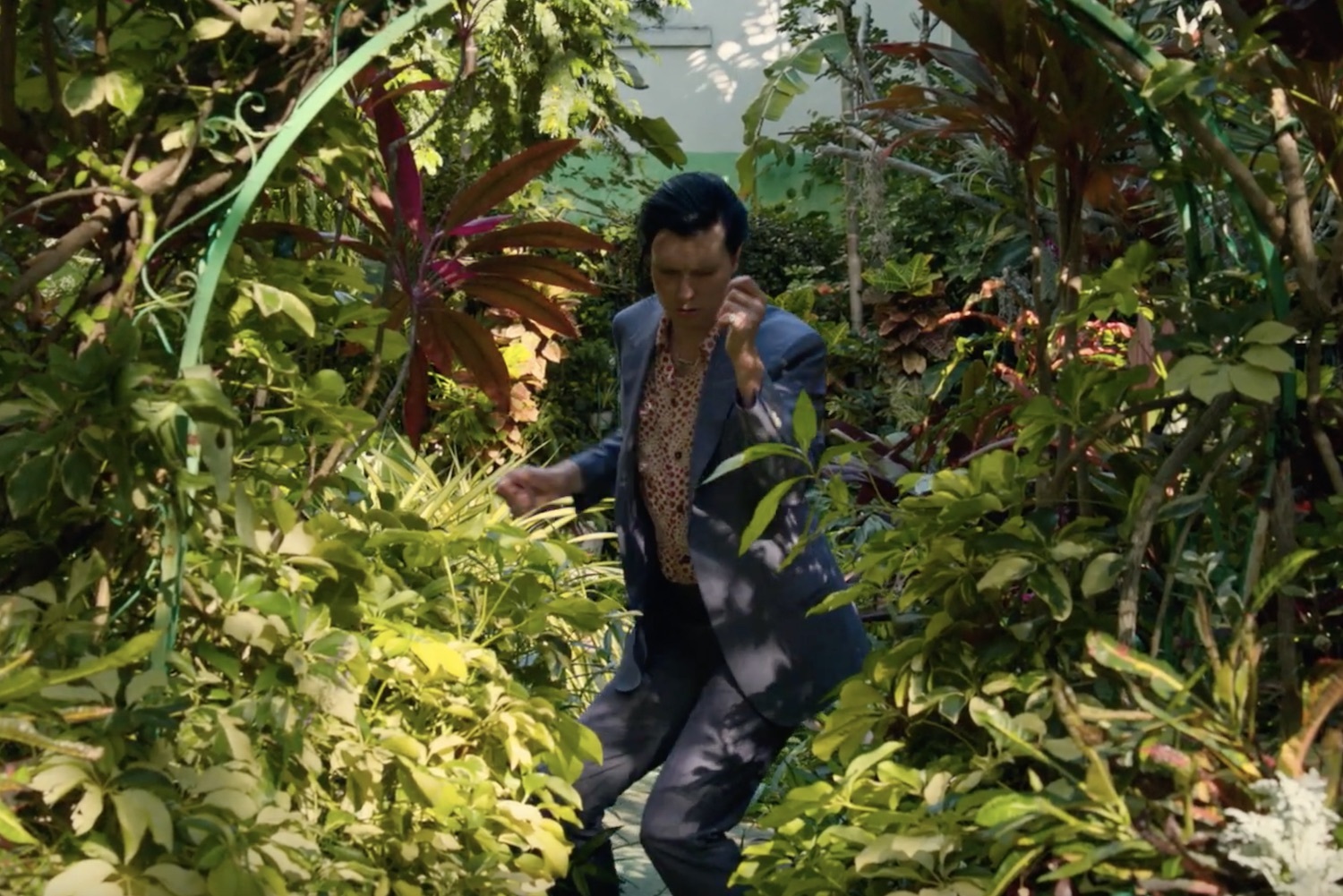 Alex cameron miami memory