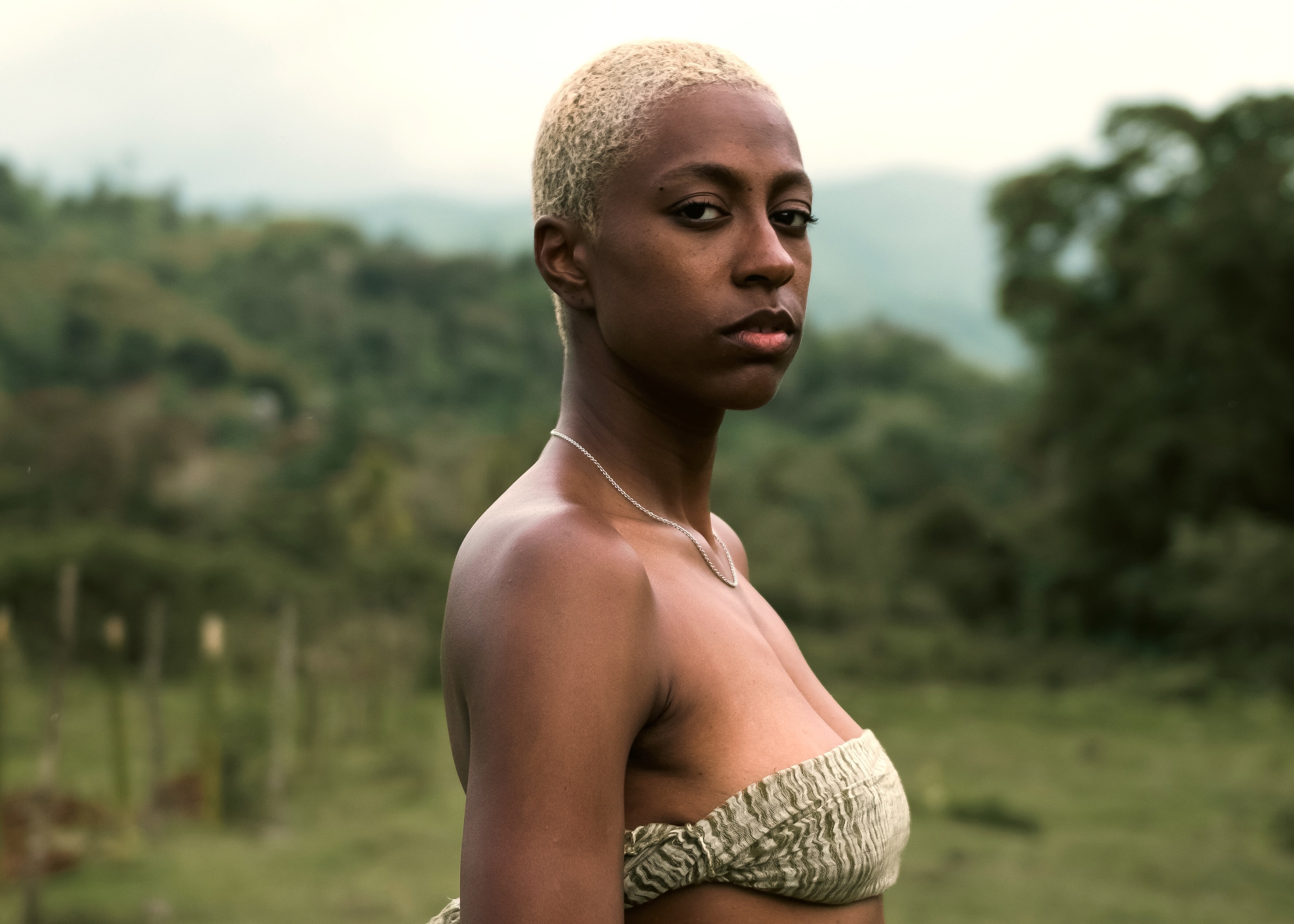 Anaiis deus deus PR1 Landscape