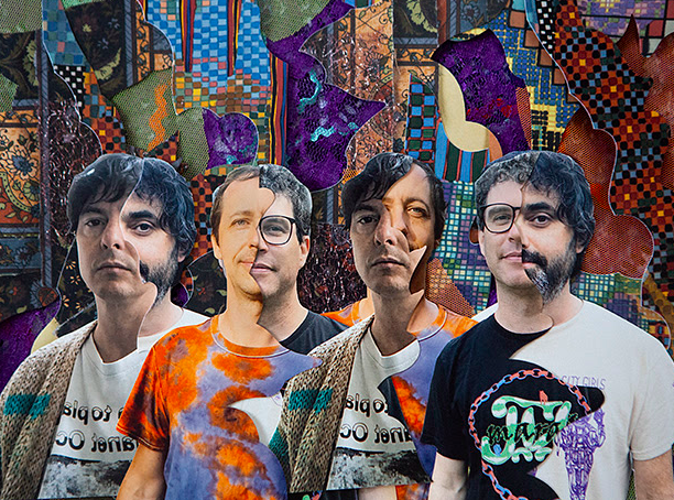 Animal collective collage 2023