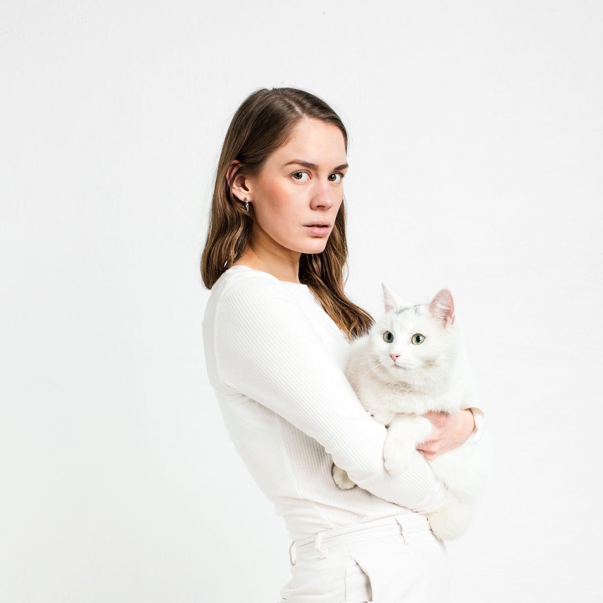 Anna of the north cat