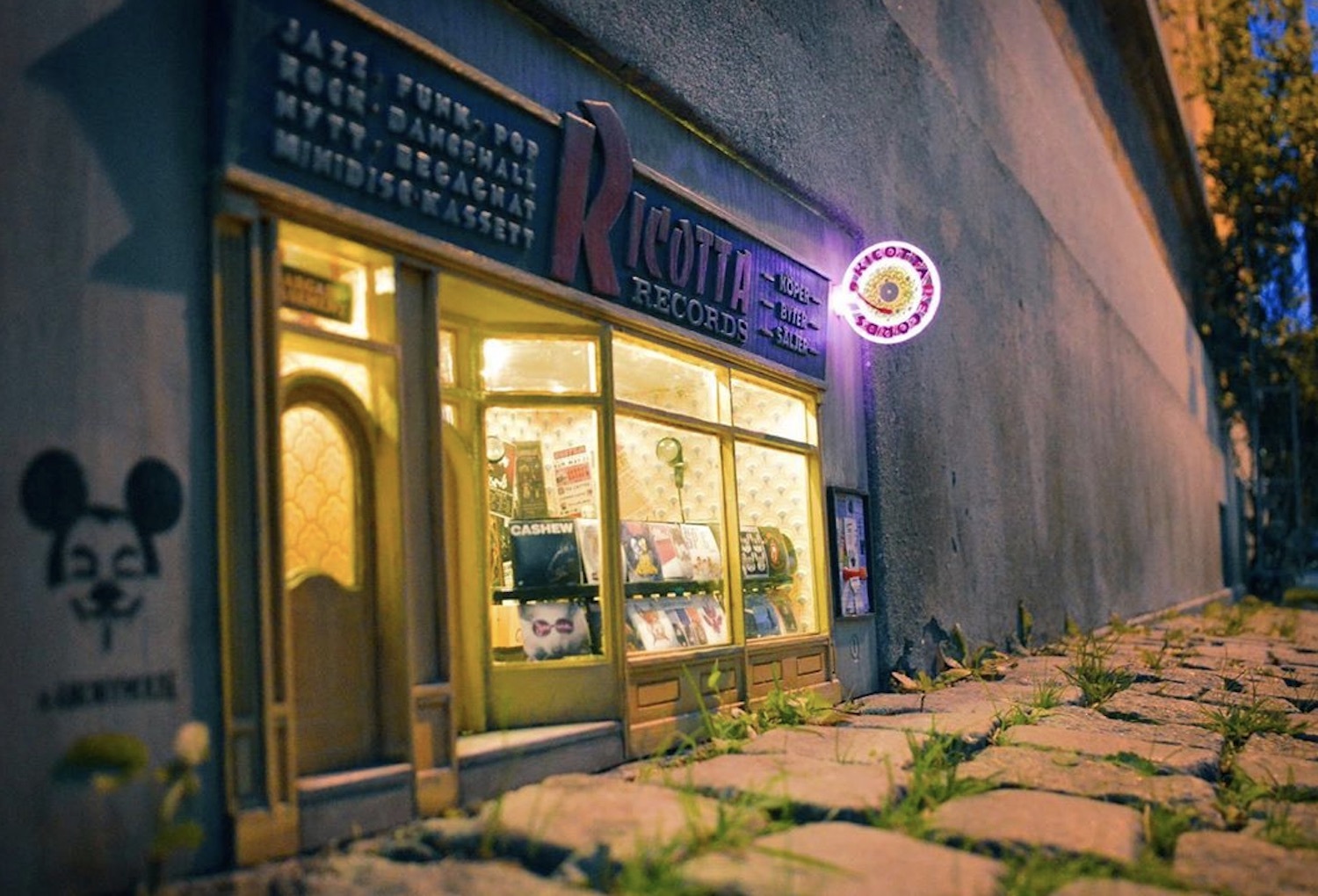 Anonymouse record shop instagram