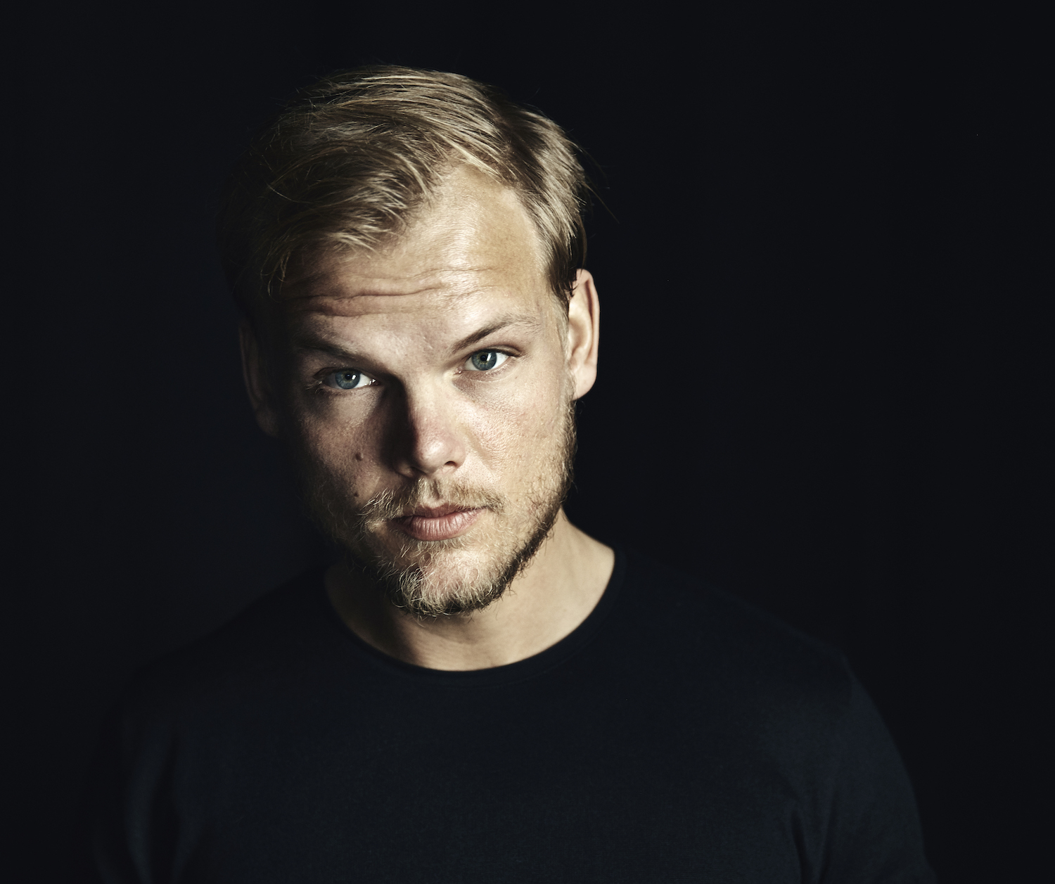 Avicii tim album