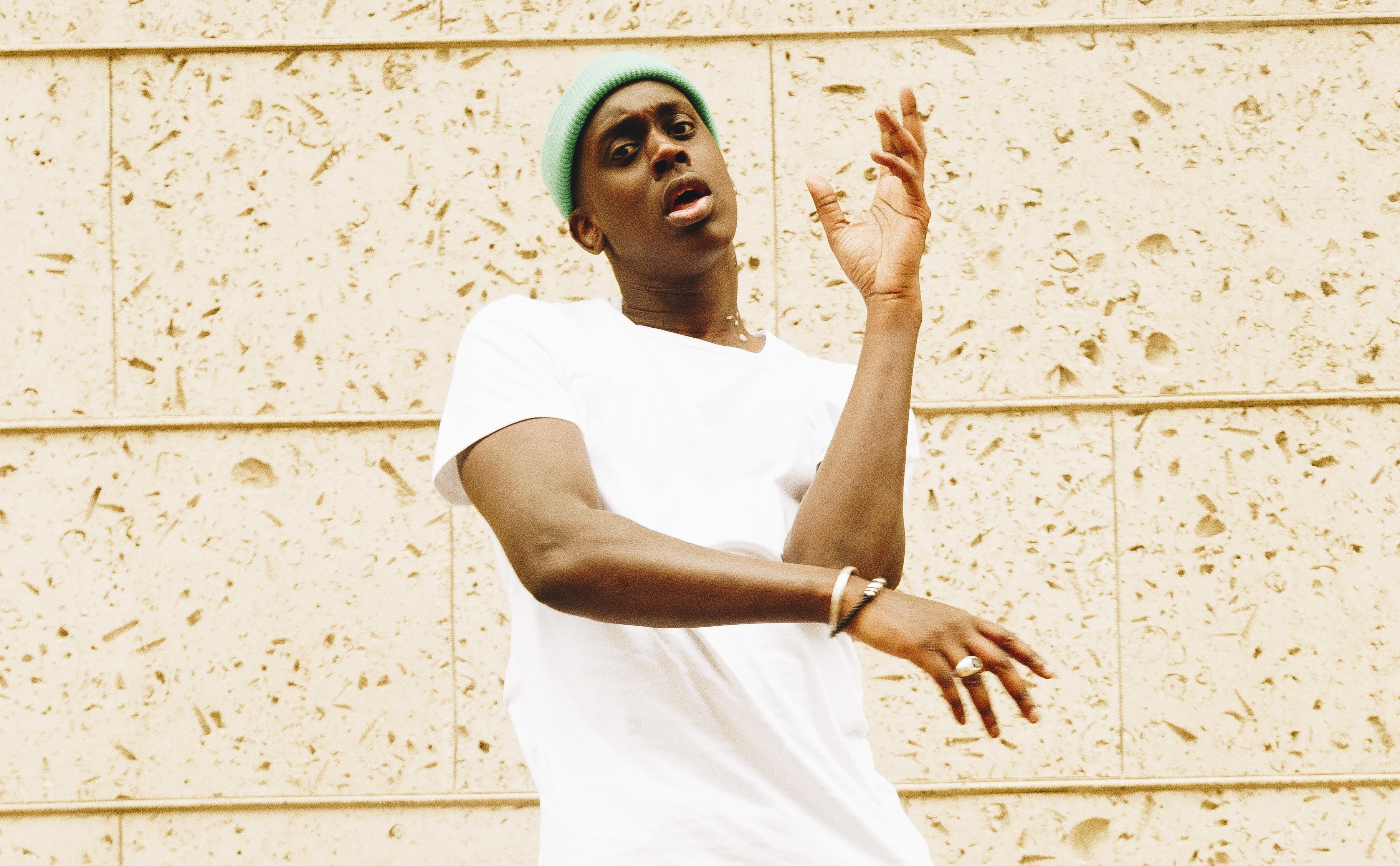 Barney artist press 2