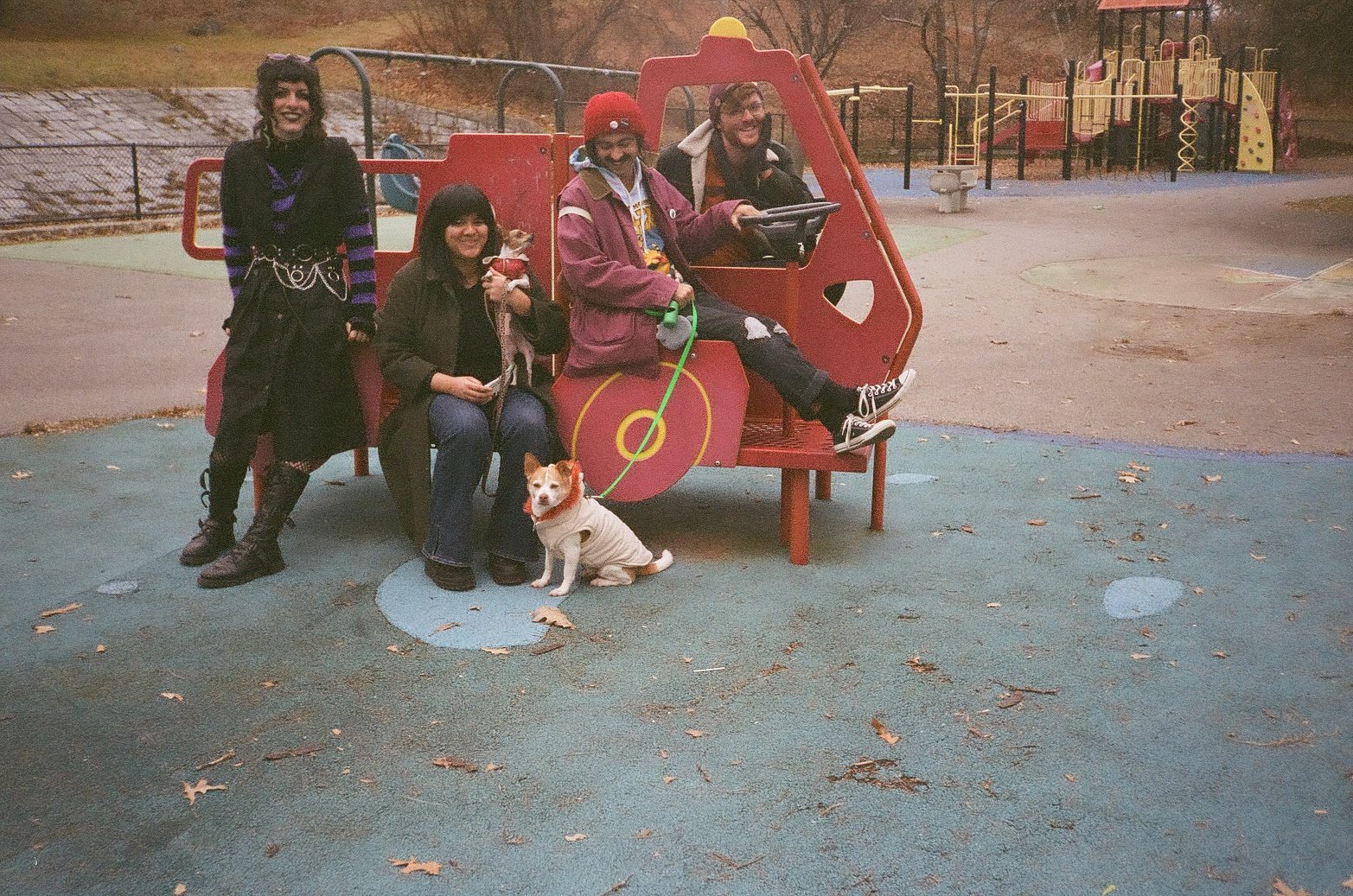 Bedbug Dustin J Watson credit 2