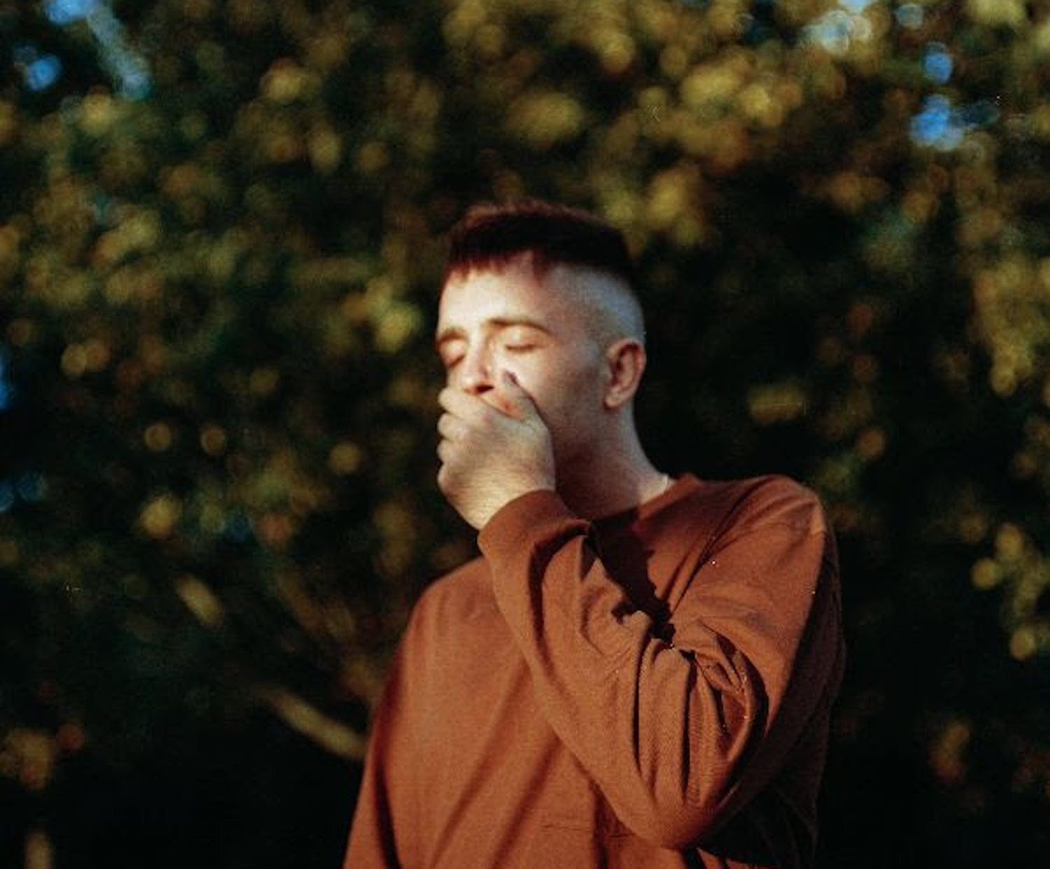 Benjamin francis leftwich elephant