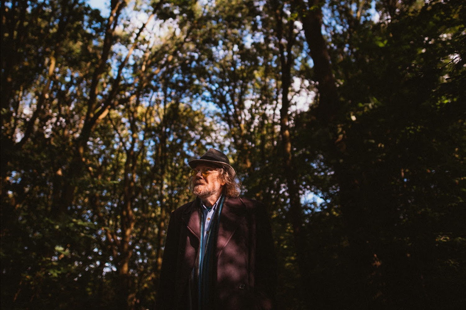 Bill fay salt of the earth