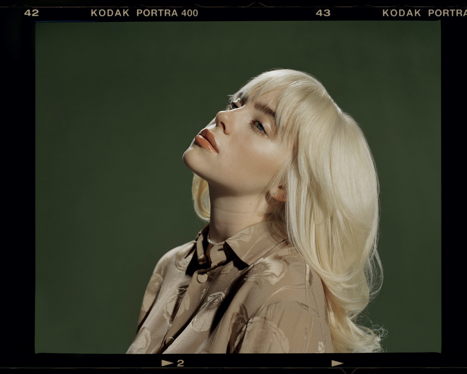 Billie eilish lost cause 2021 press