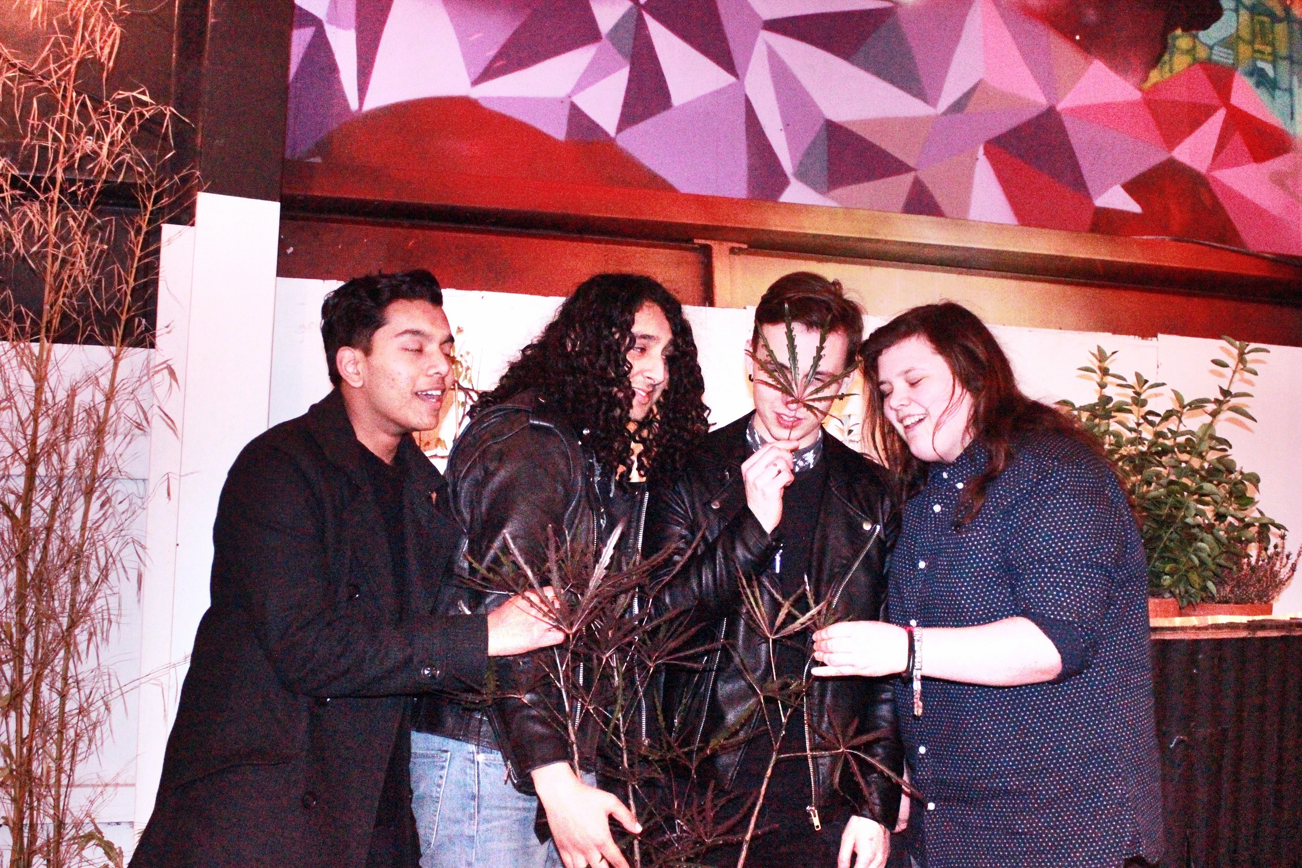 Bloxx you pressshot