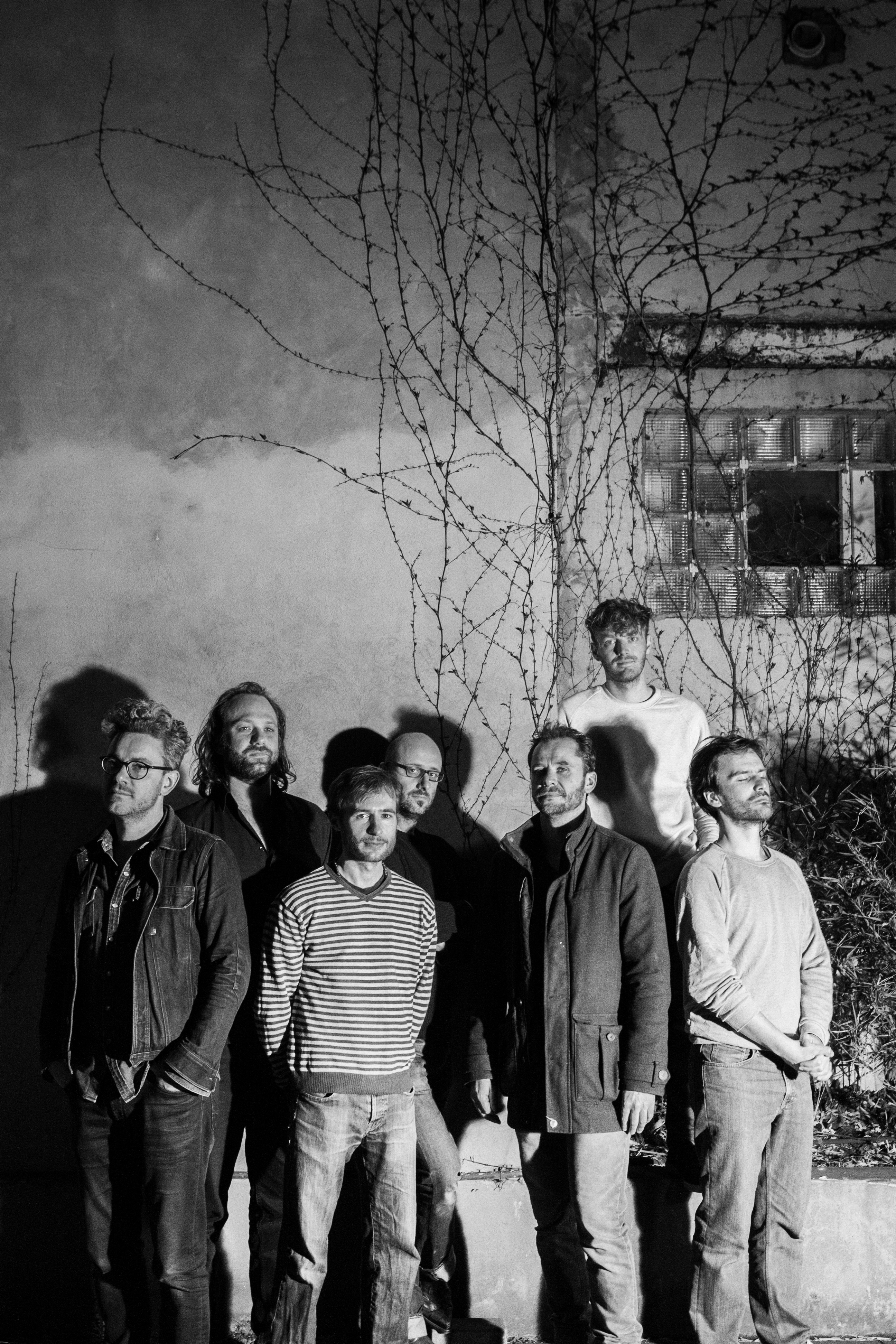 C Bernaded Dexters 2