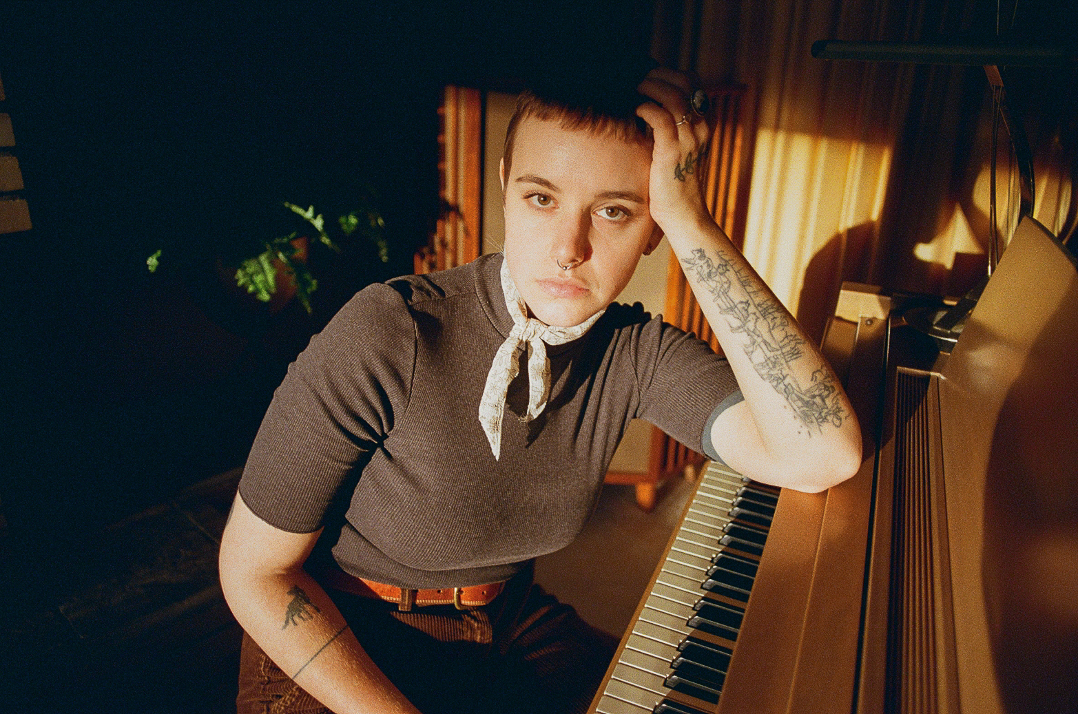 Cat clyde Hi Res photo Strummer Jasson