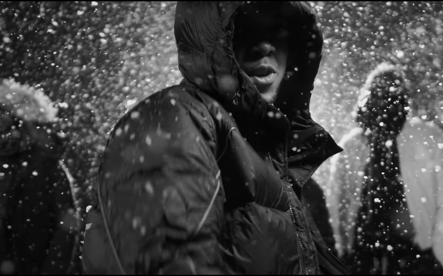 Chip 10 commandments video