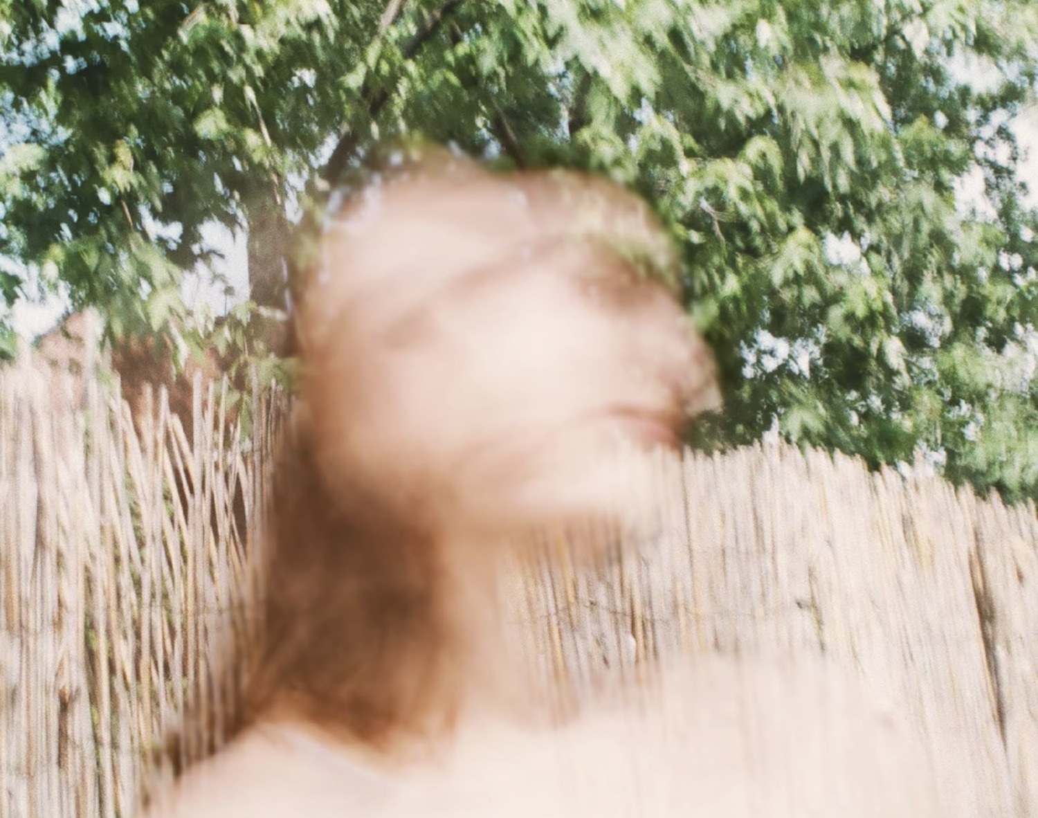 Common holly preoccupy youtube