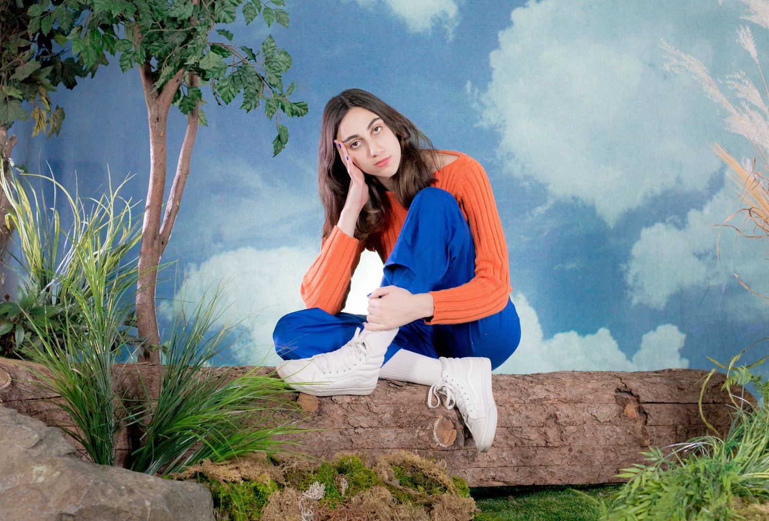 Common holly jan20 Max Taeuschel Aaliyeh Afshar