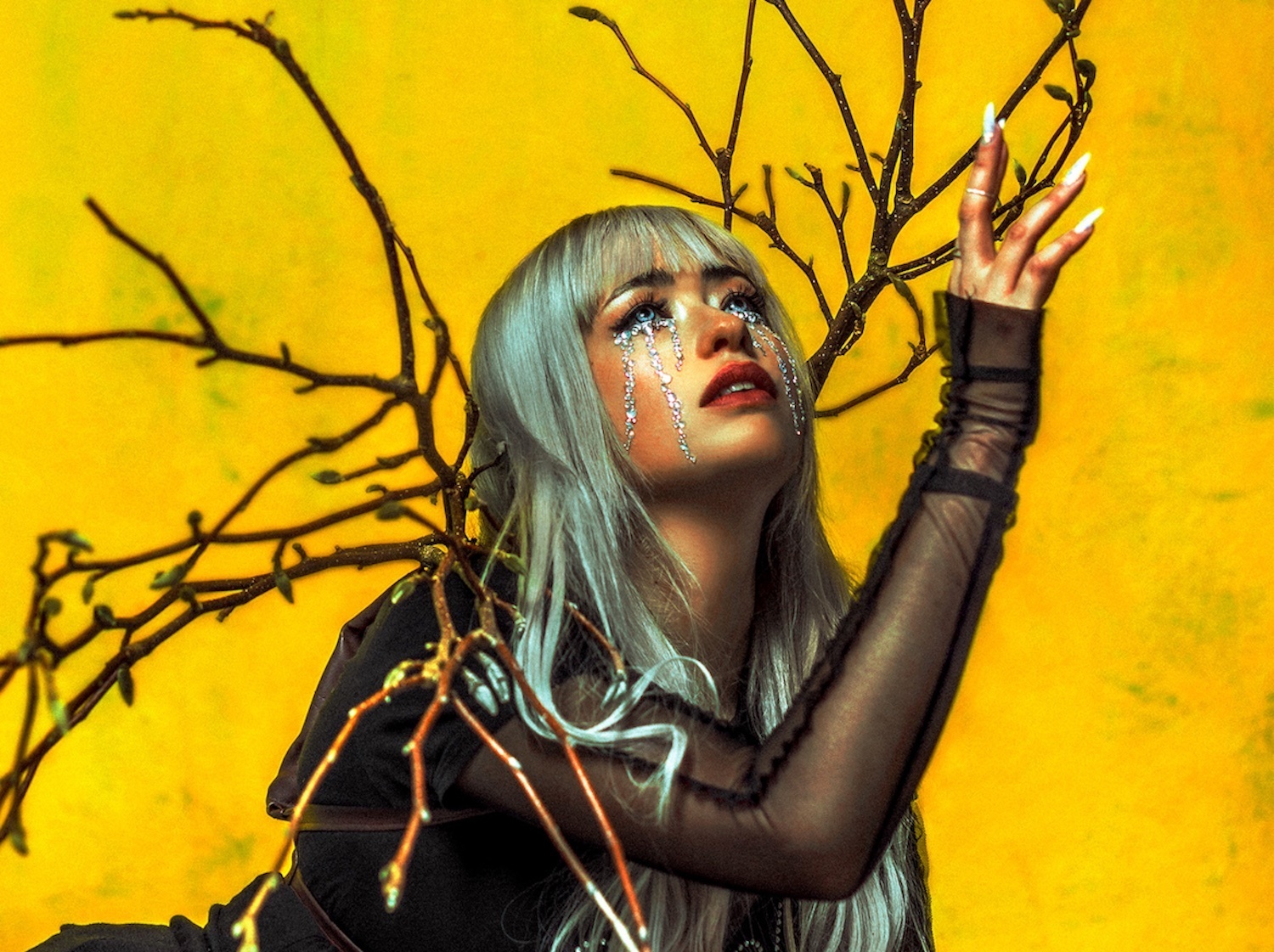 Cryalot touch the sun 2022