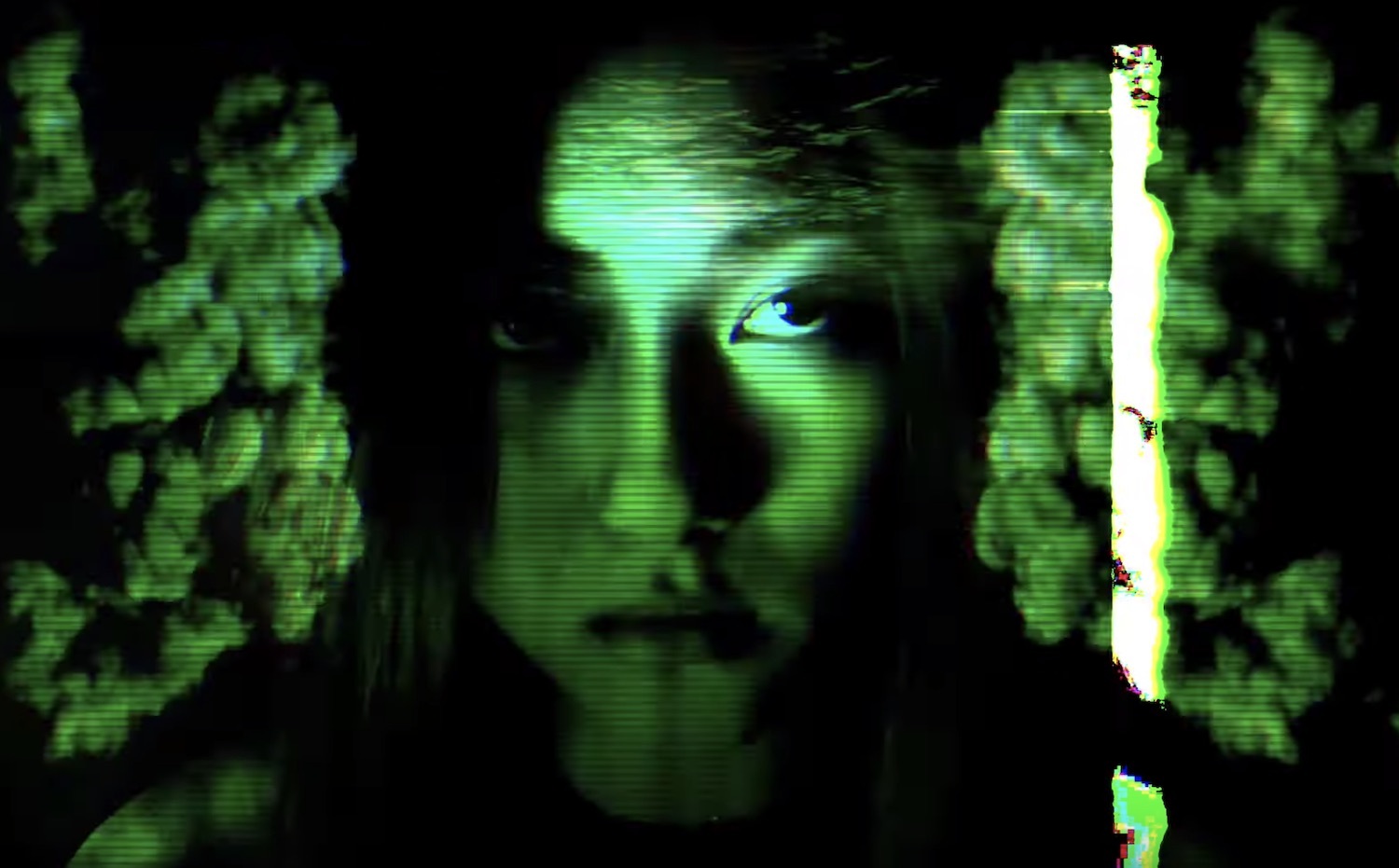 Das koolies its all about the dolphins video