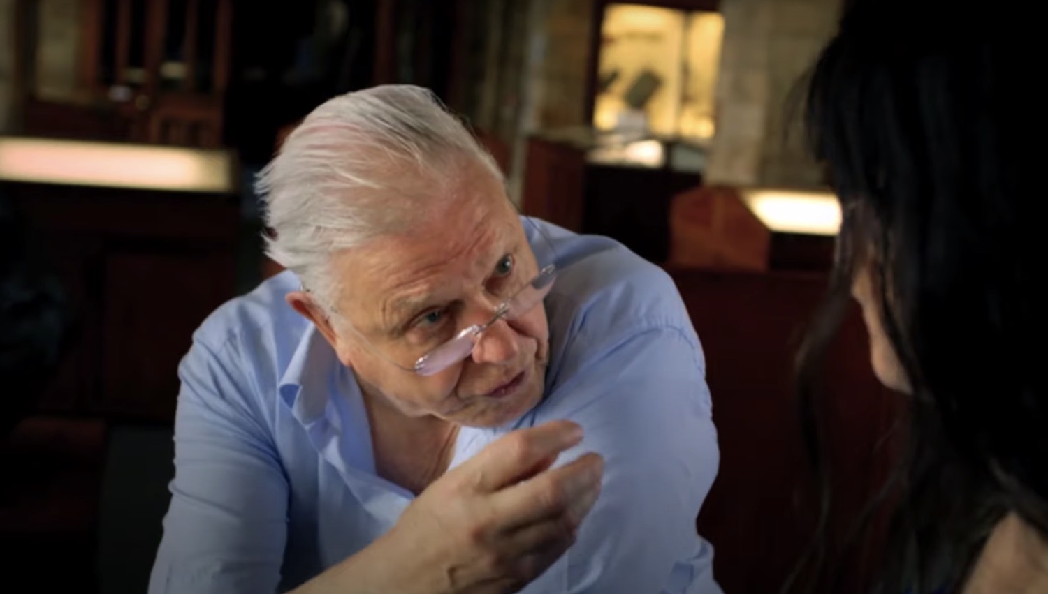 David attenborough bjork channel 4 doc trailer