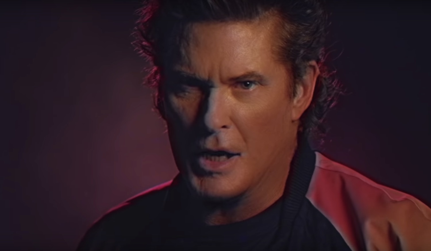 David hasslehoff true survivor