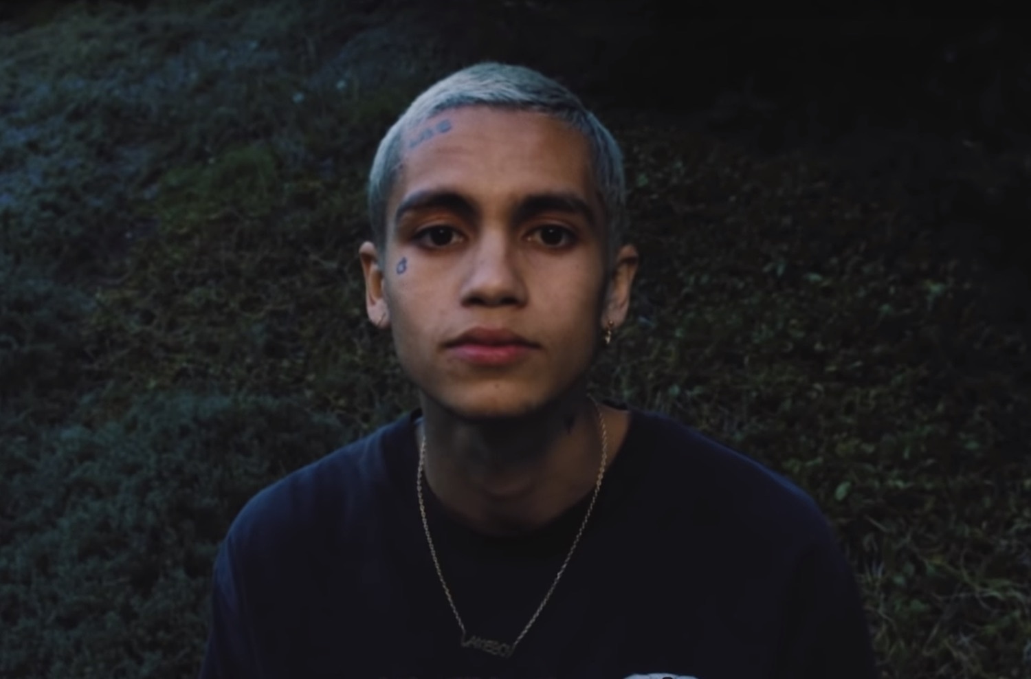 Dominic fike brockhampton intro video