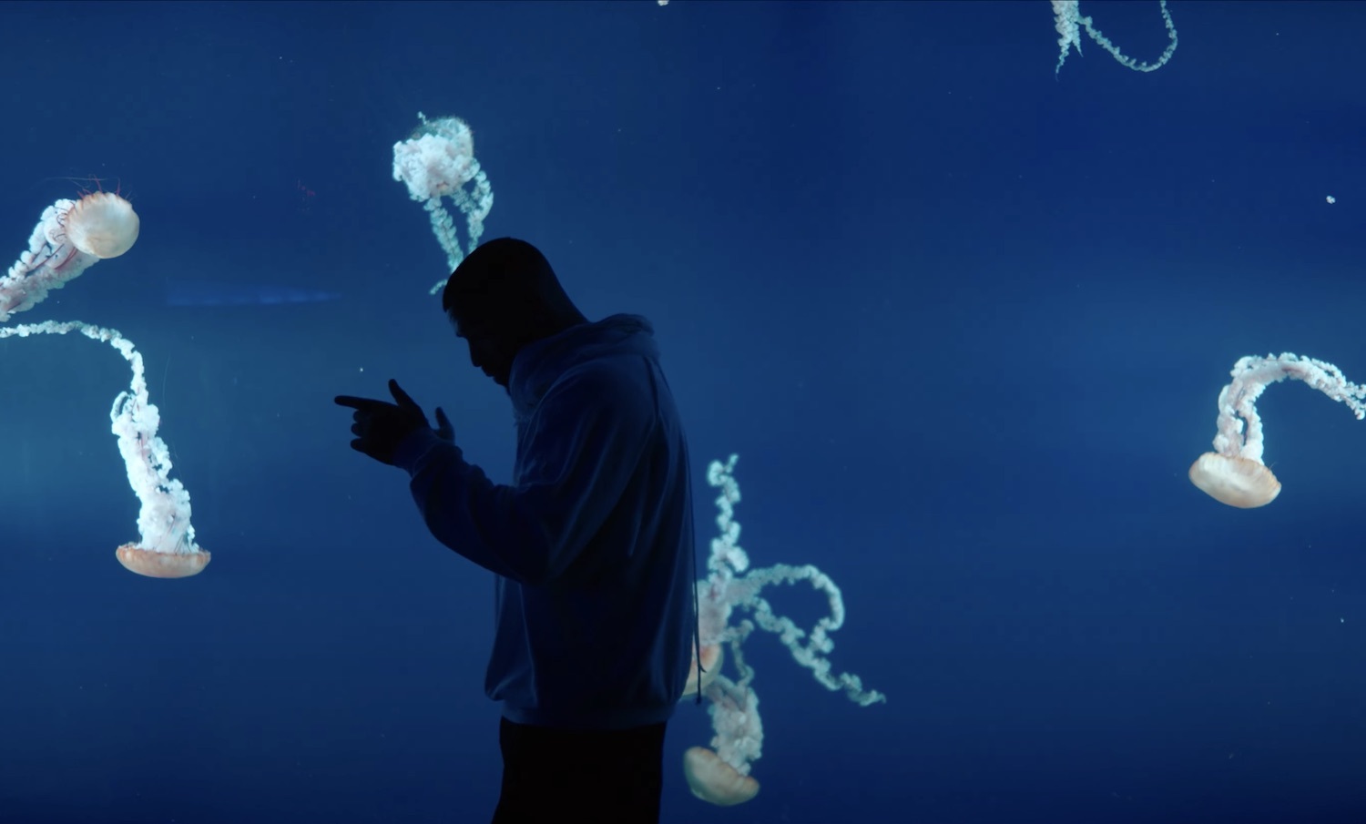 Drake whats next video