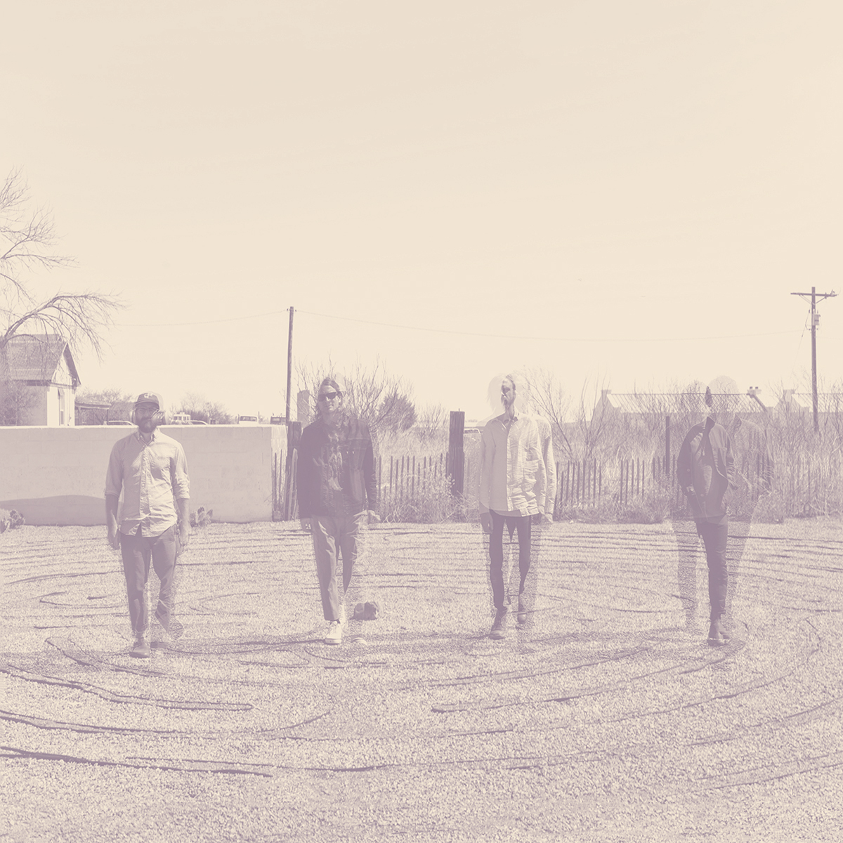 Dungen woods