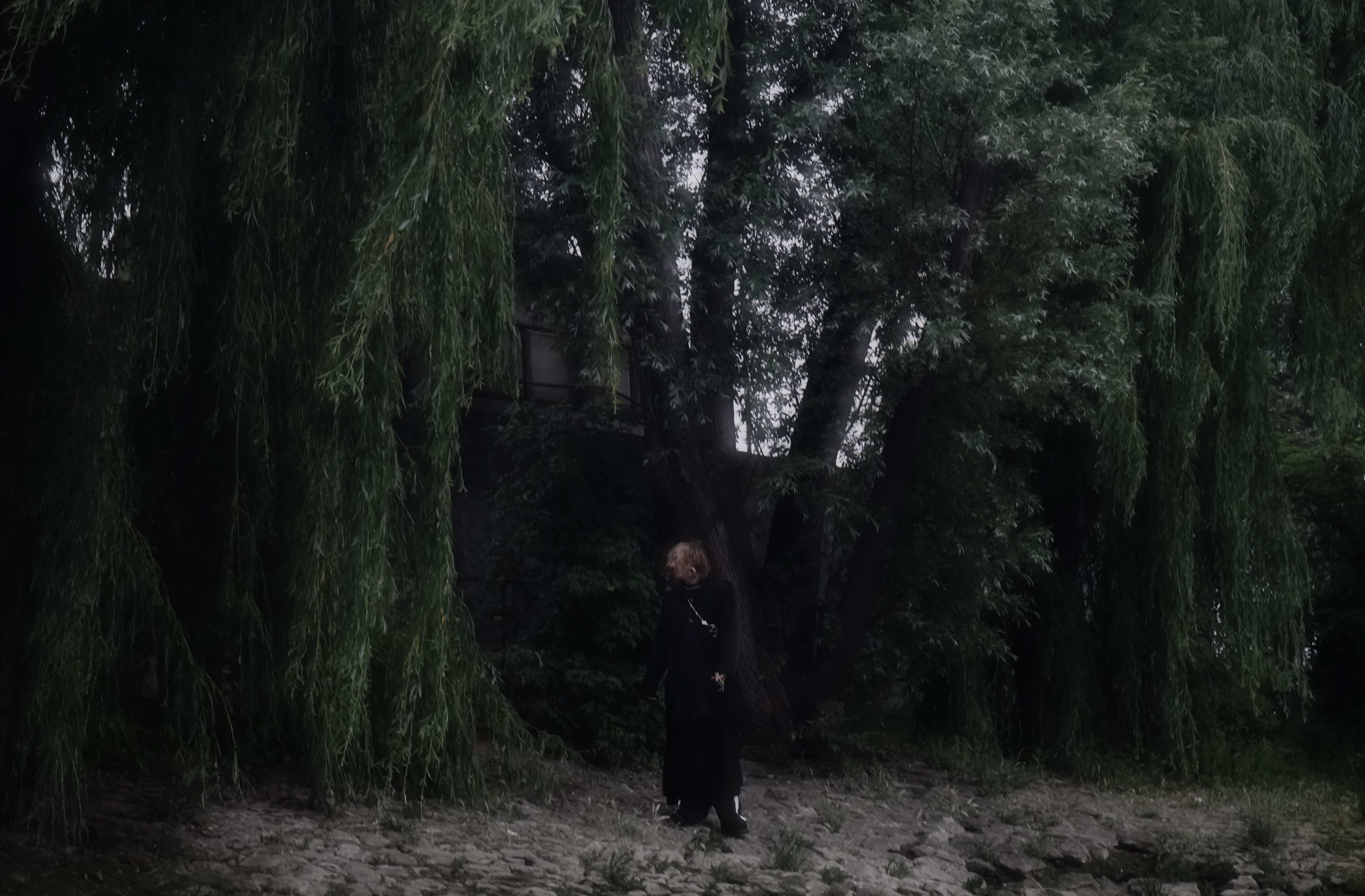 Es cher the party 2025