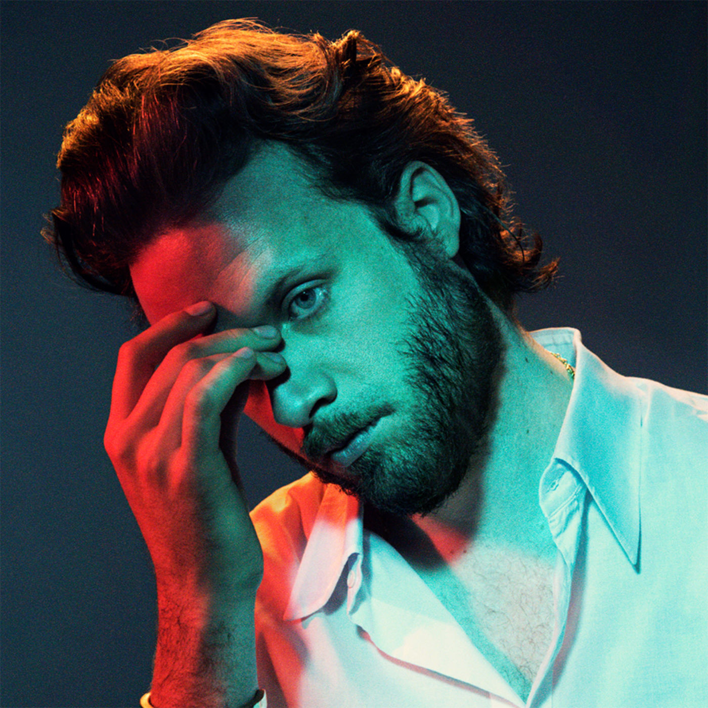 Father john misty gods favorite customer