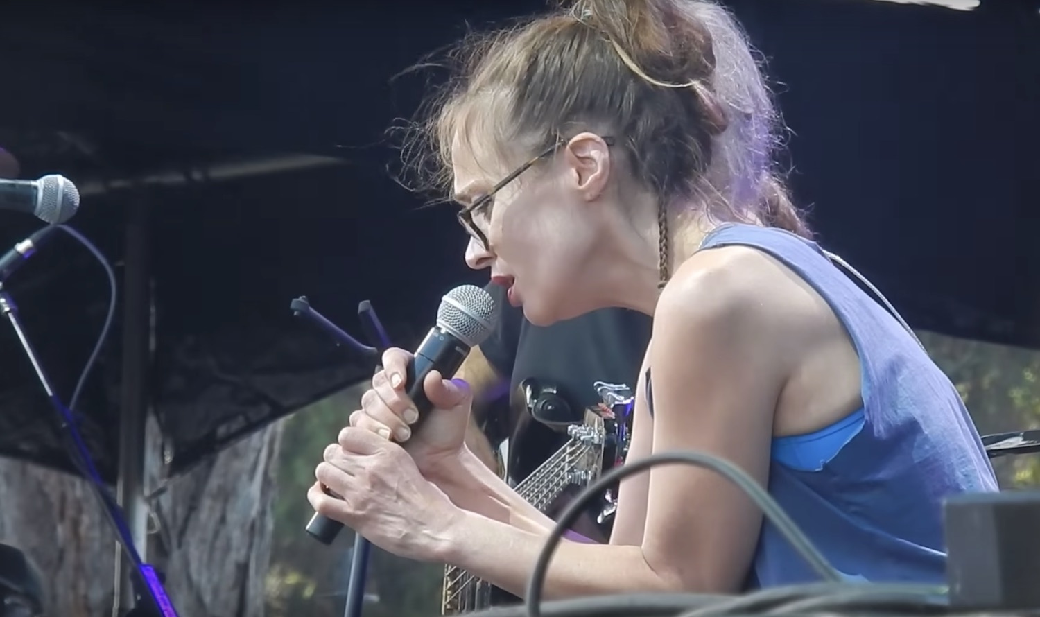 Fiona apple Ohana Fest Doheny Beach 2017