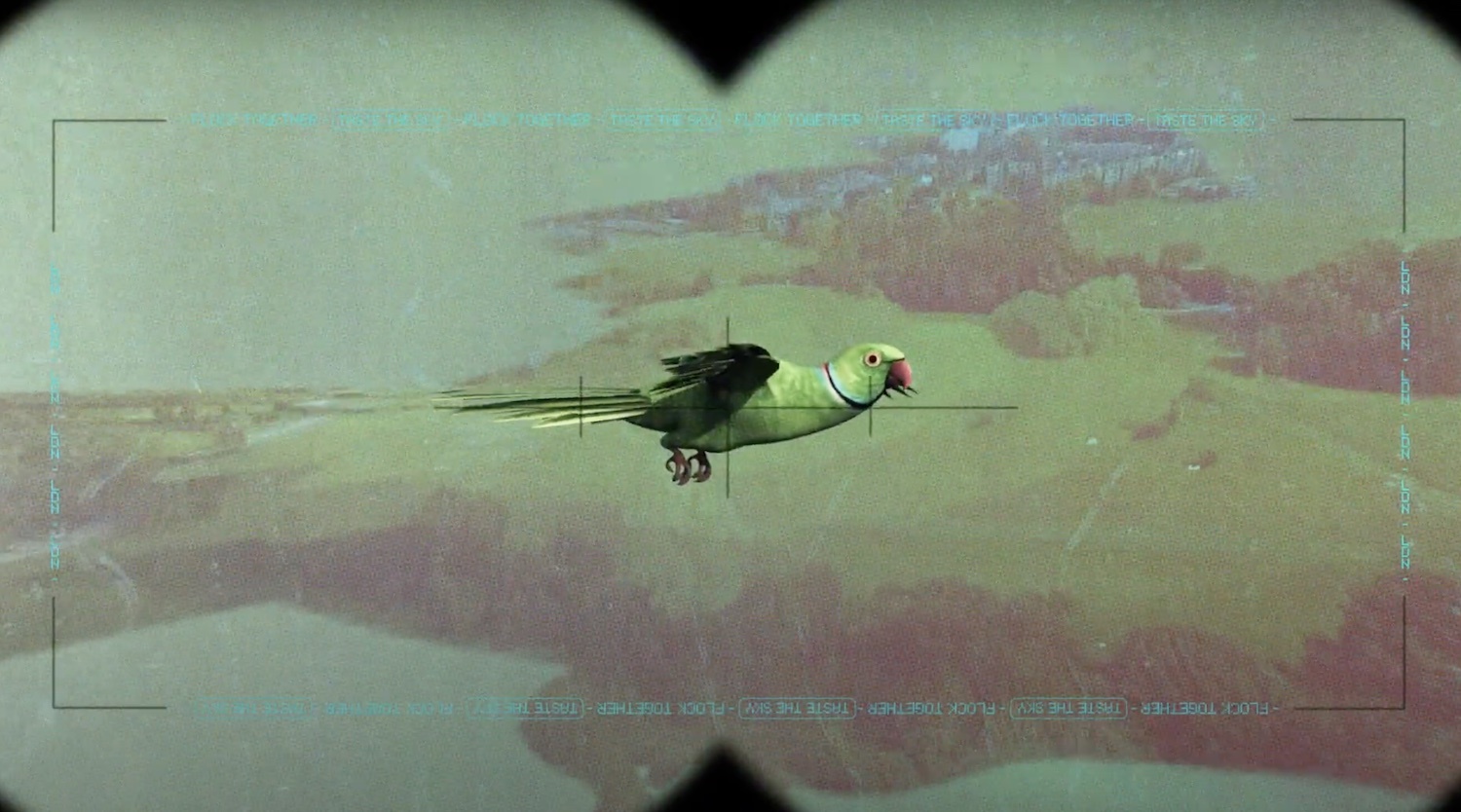 Flock together taste the sky london youtube