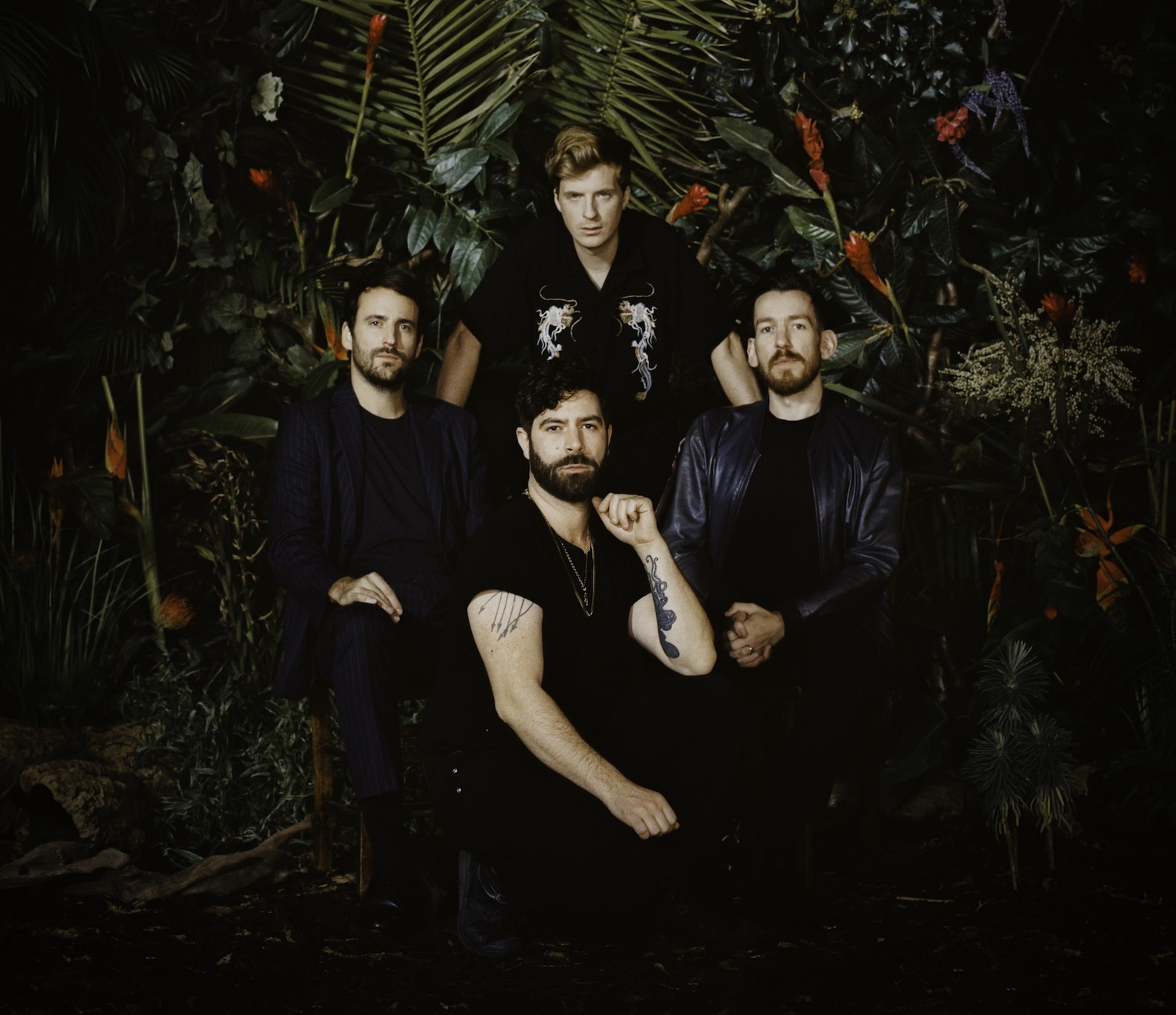 Foals 2019