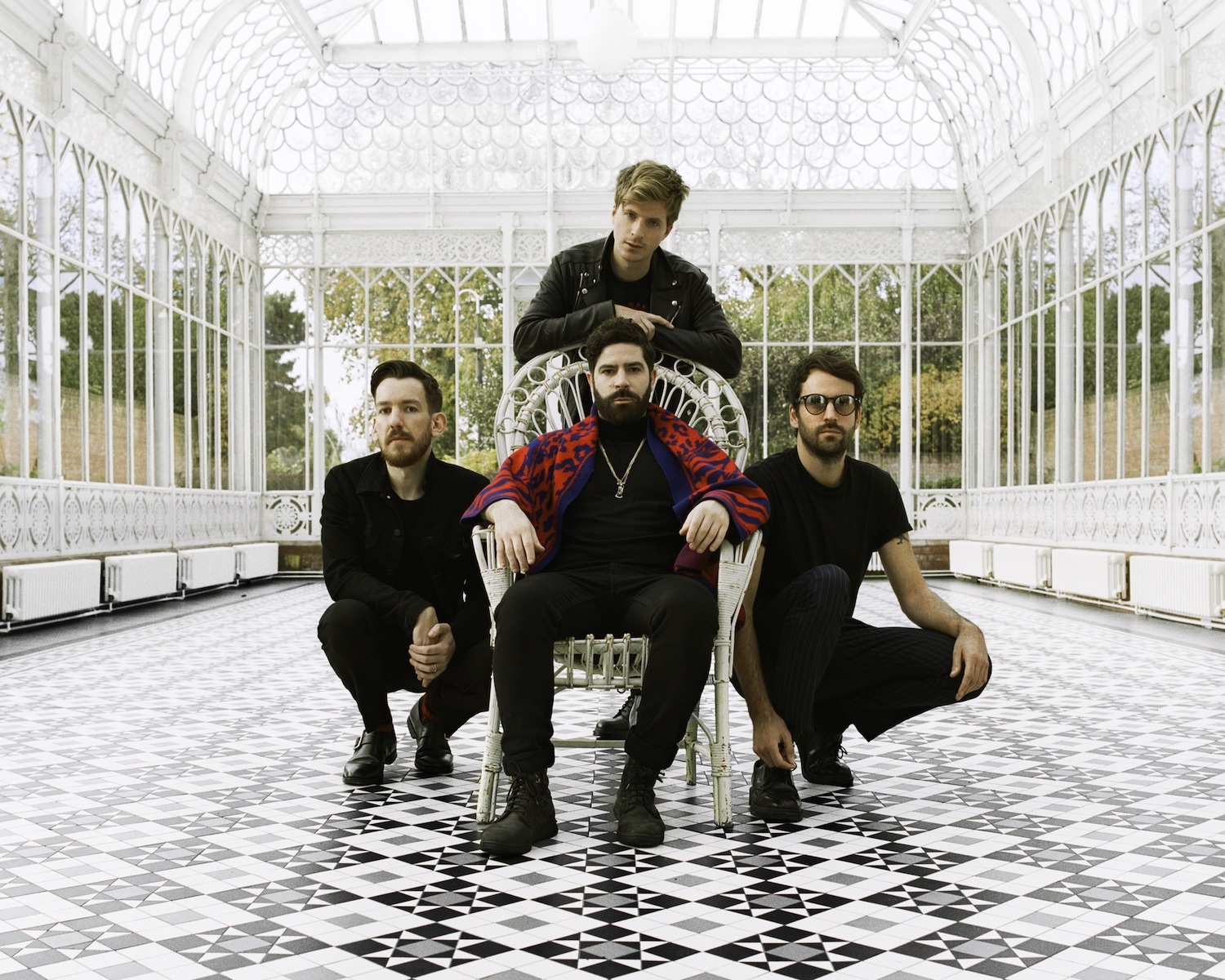 Foals black bull