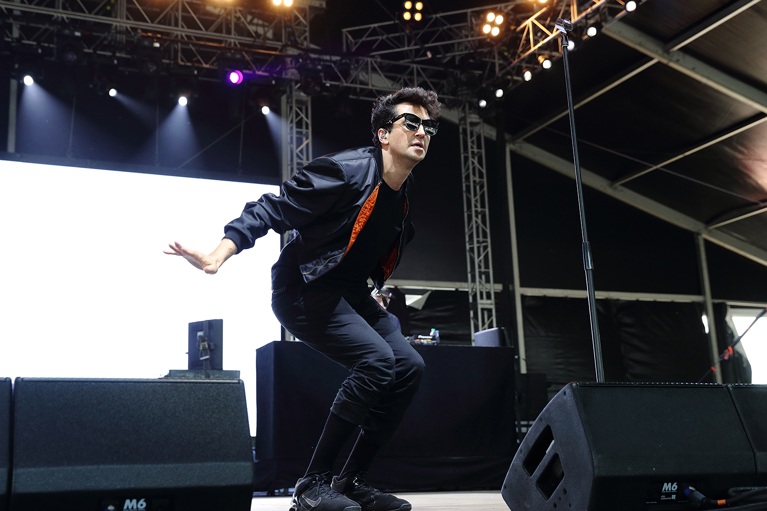 Francis the lights govball17 bc