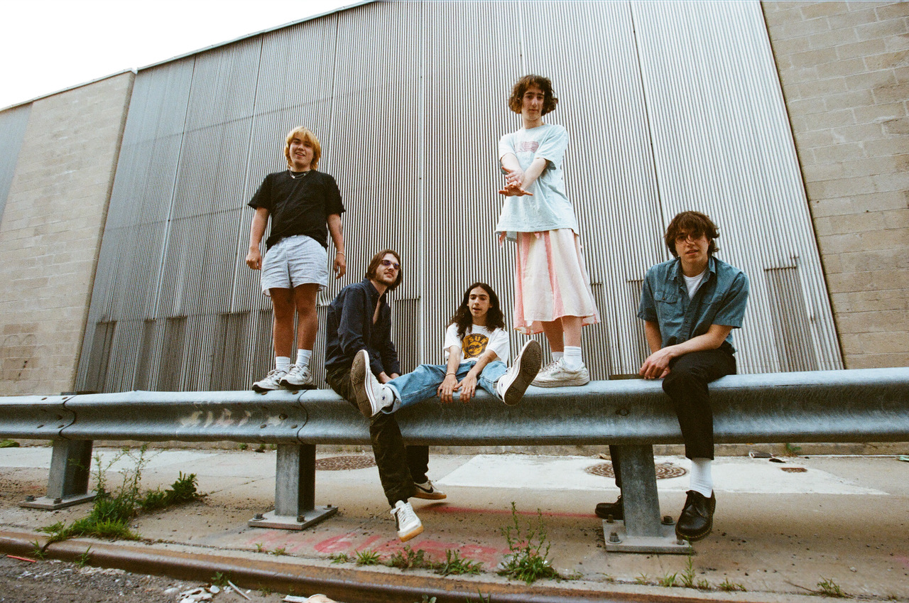 Geese DT H Ires 000173650031 1