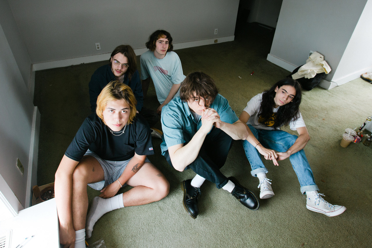 Geese DT H Ires 0169 2