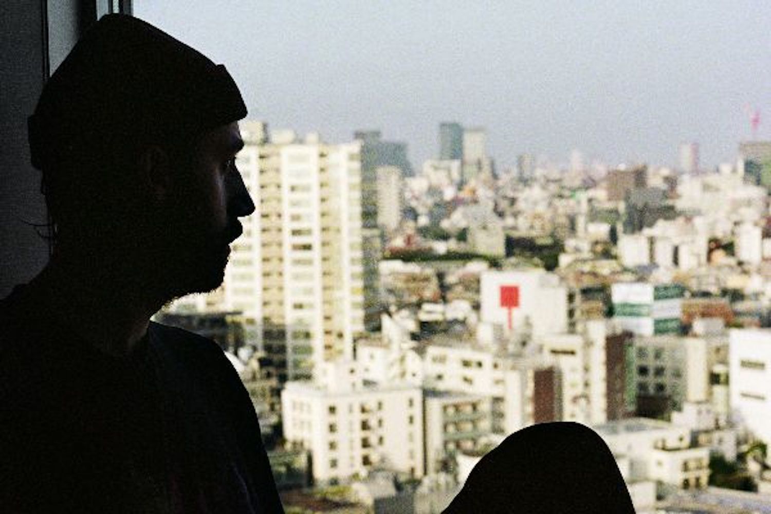 Gold panda tansactional relationship