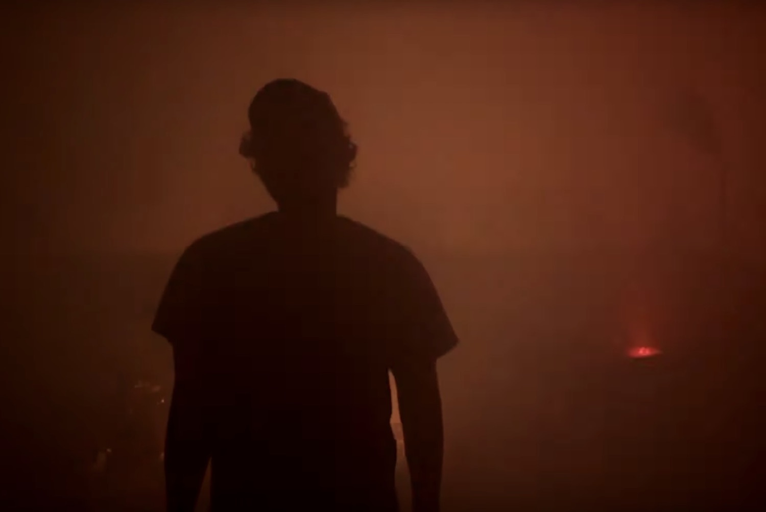 Goon black finch video